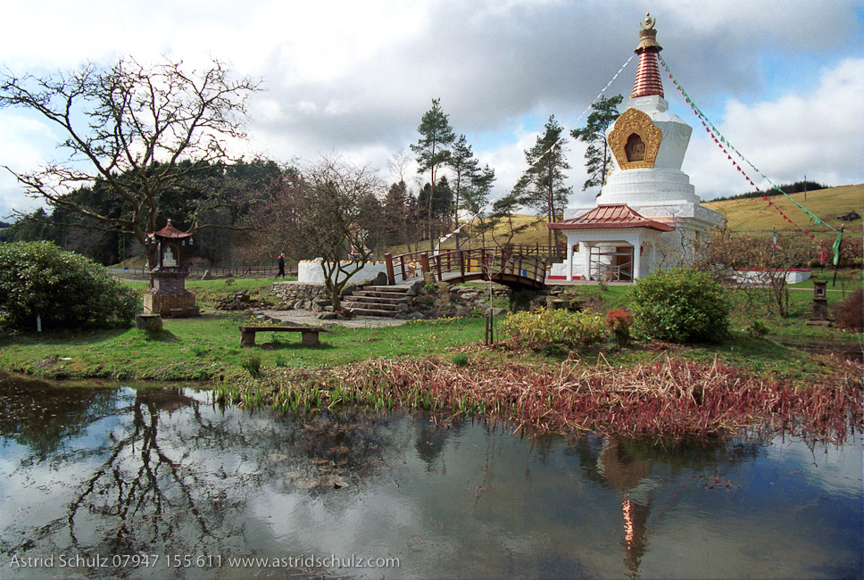 stupa_and_pond.jpg