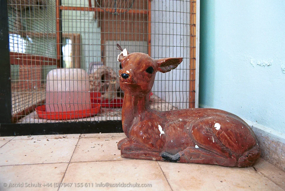 bambi.jpg