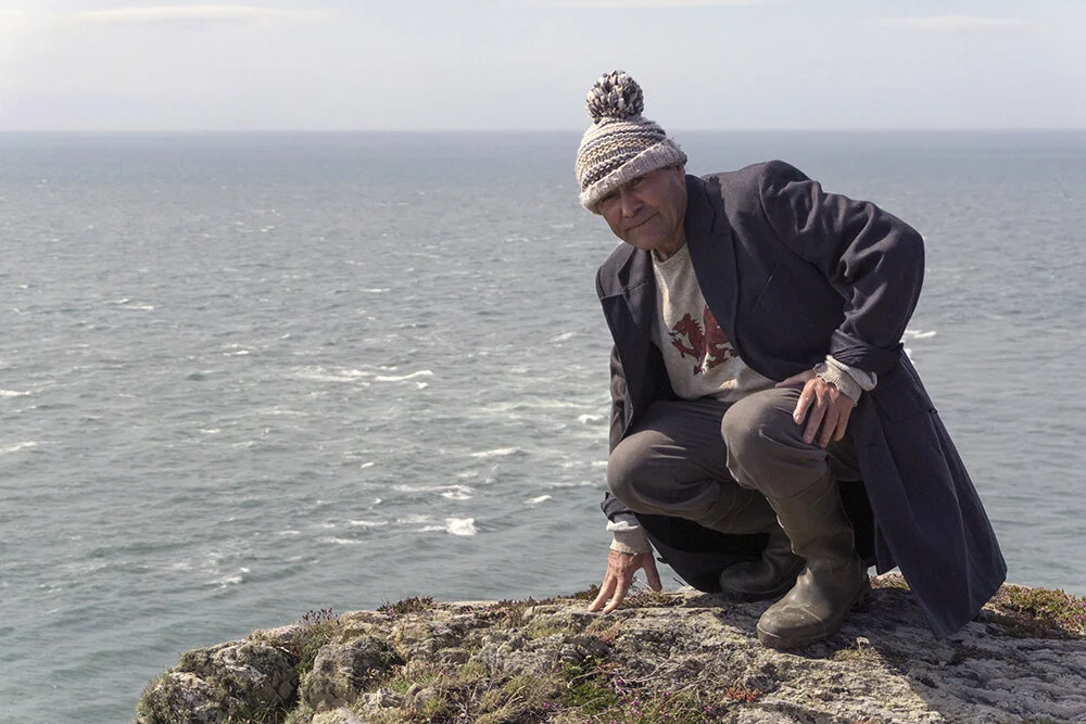 Astrid Schulz_Rock Rose-07.jpg