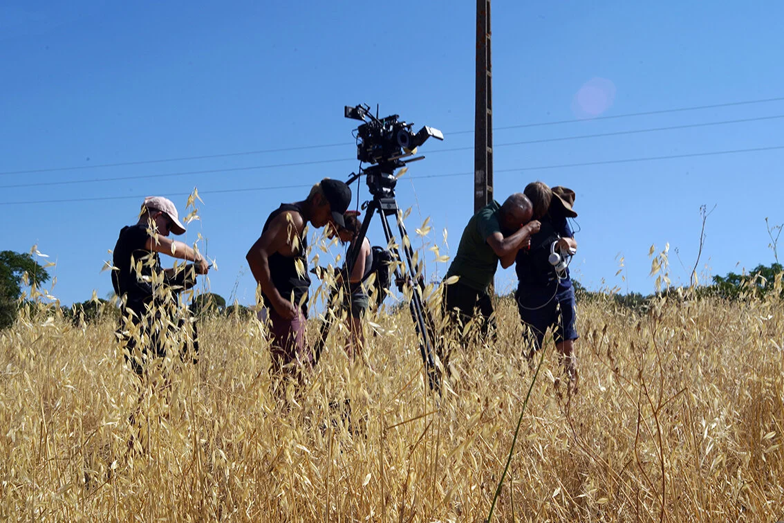 Astrid Schulz_El Fina 05.jpg