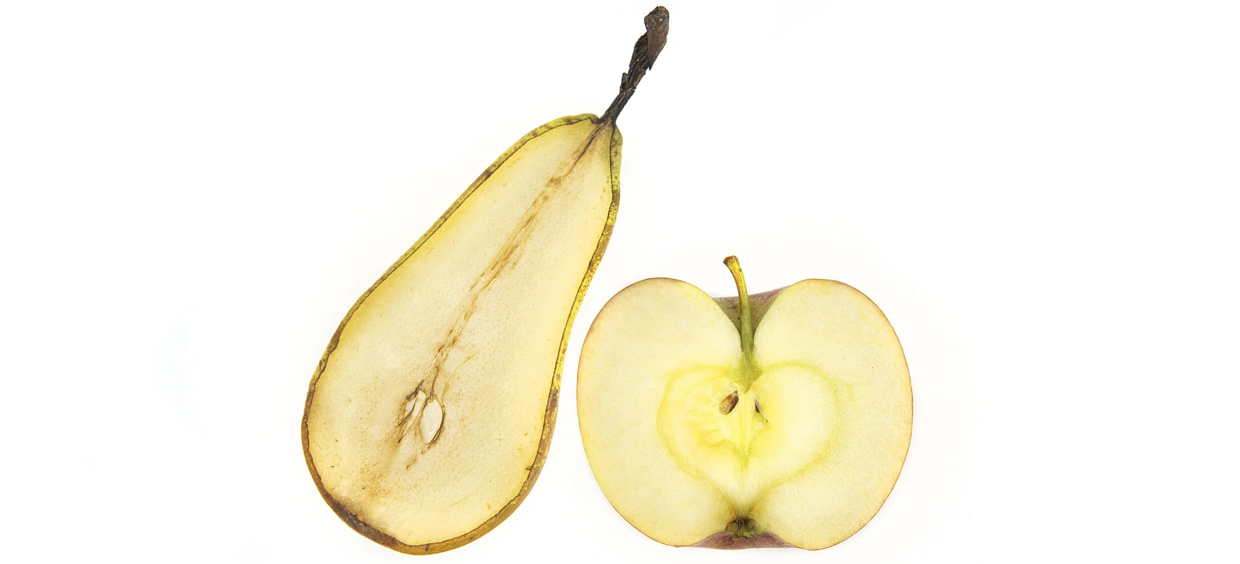 Juicy breakfast, by all means.