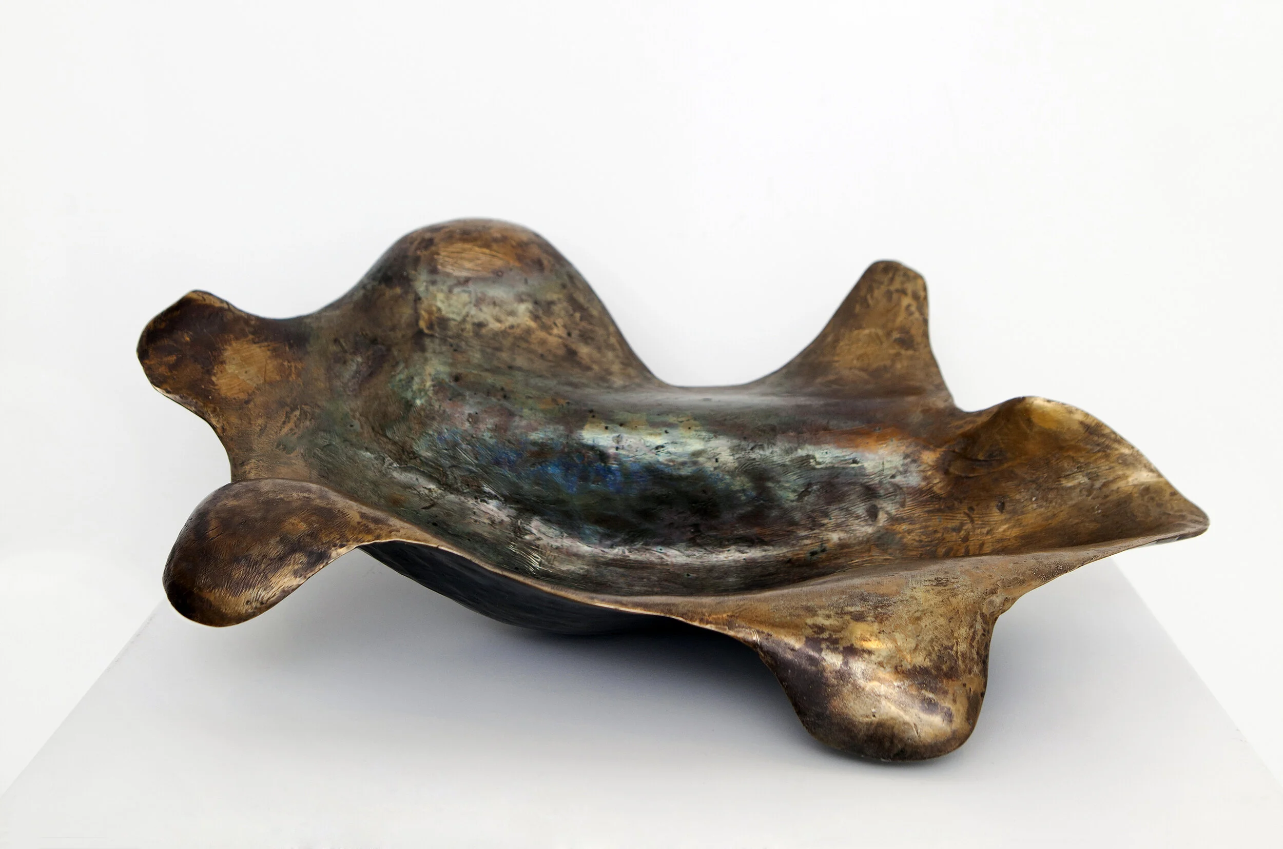 tortelina_0009.jpg