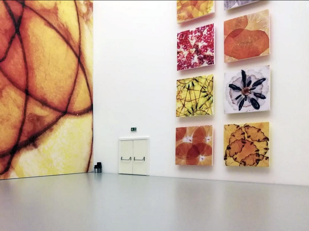 ‘Fruchtallee’ (aka ‘the artist’s breakfast’) 28.09.22 — Astrid Schulz ...