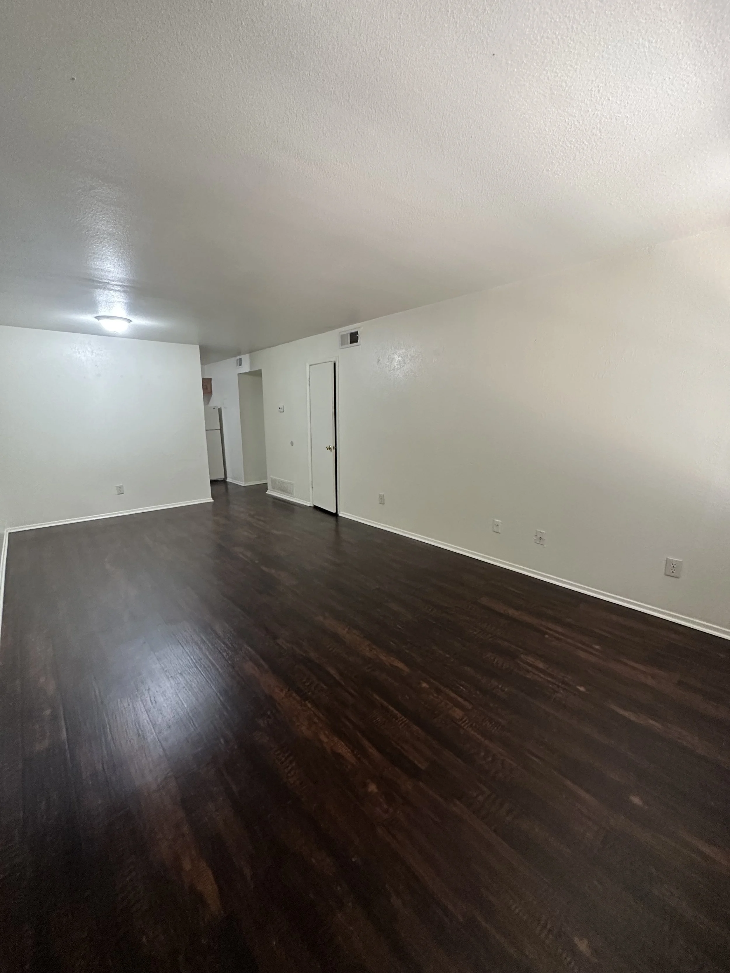 Photo Aug 06 2024, 3 47 34 PM.jpg