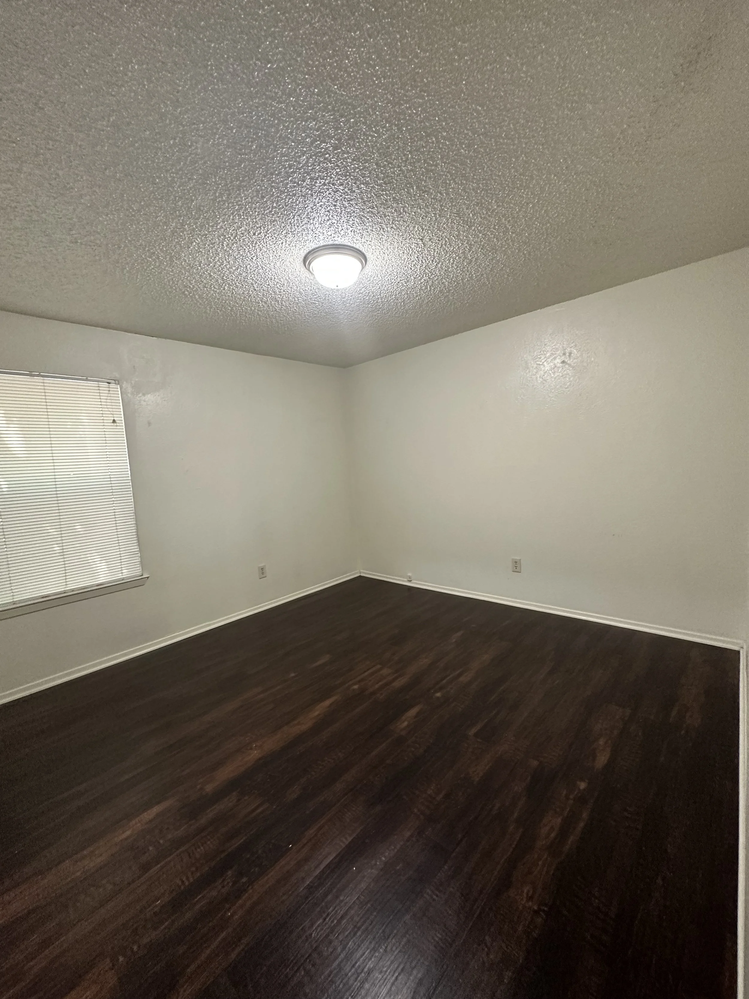 Photo Aug 06 2024, 3 50 07 PM.jpg