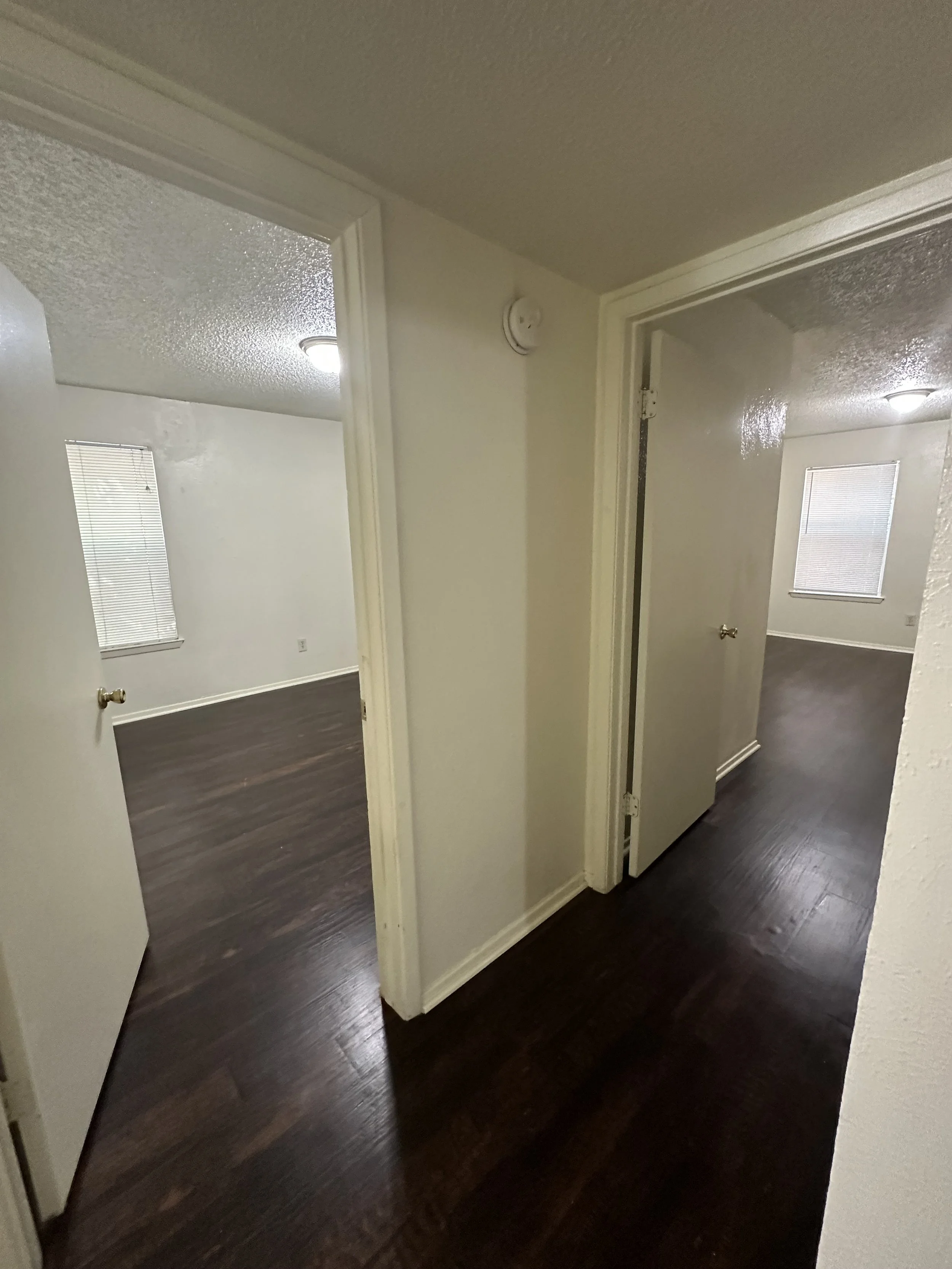 Photo Aug 06 2024, 3 50 55 PM.jpg