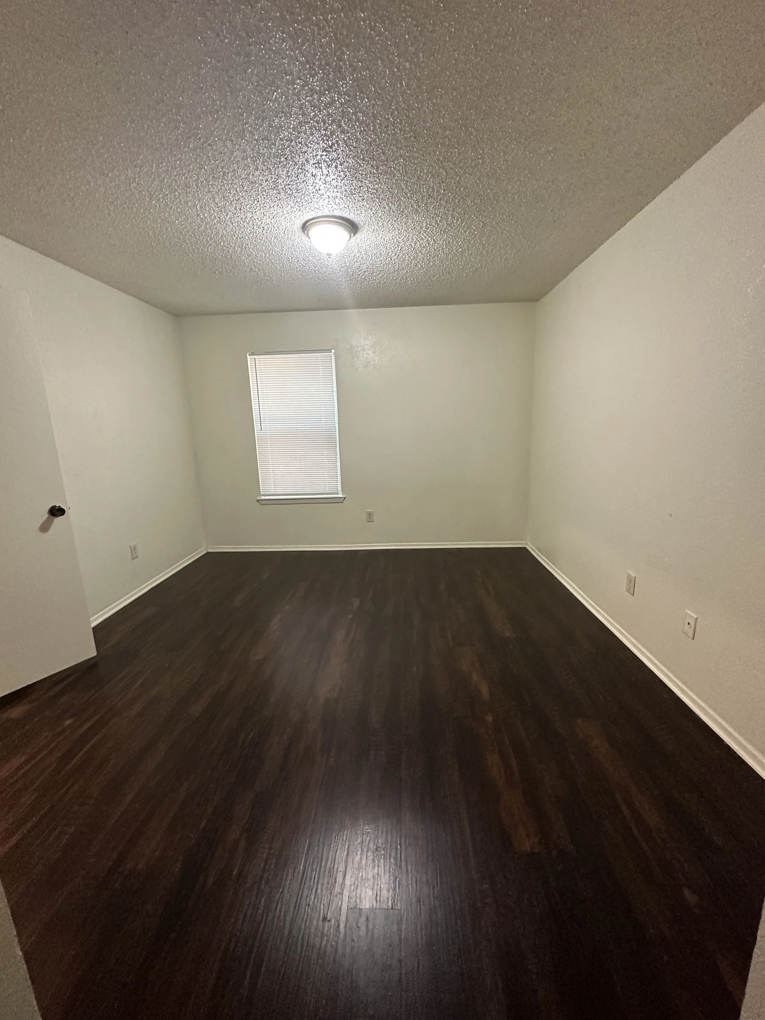 Photo Aug 06 2024, 3 51 15 PM.jpg