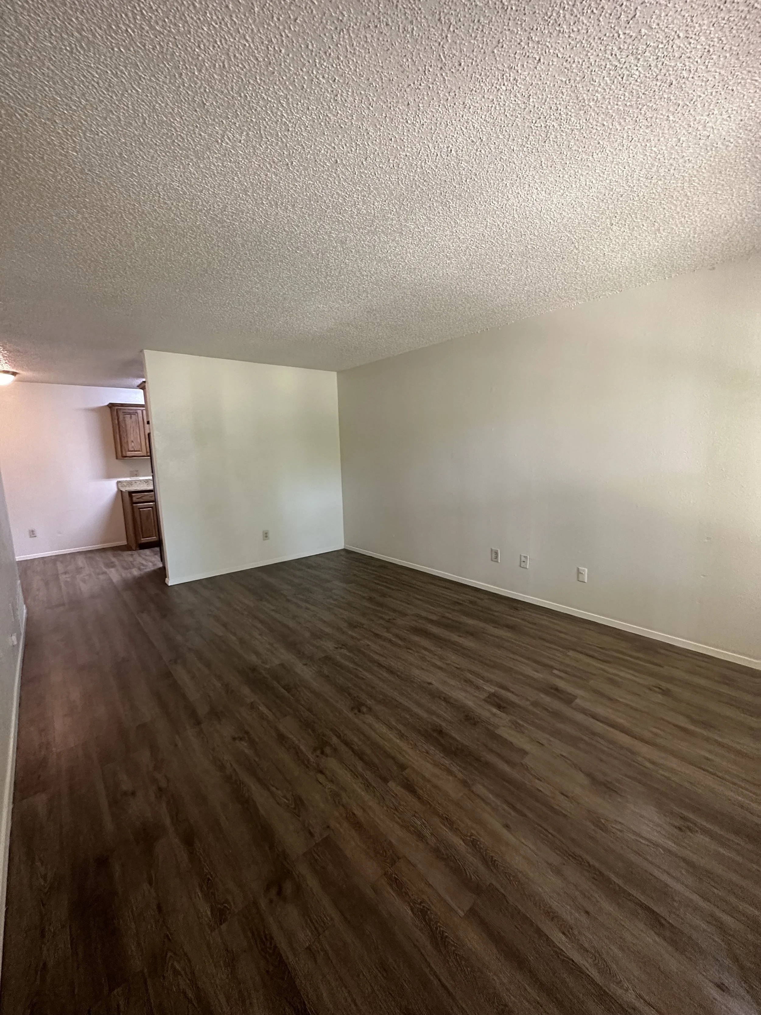 Photo Aug 06 2024, 3 58 17 PM.jpg