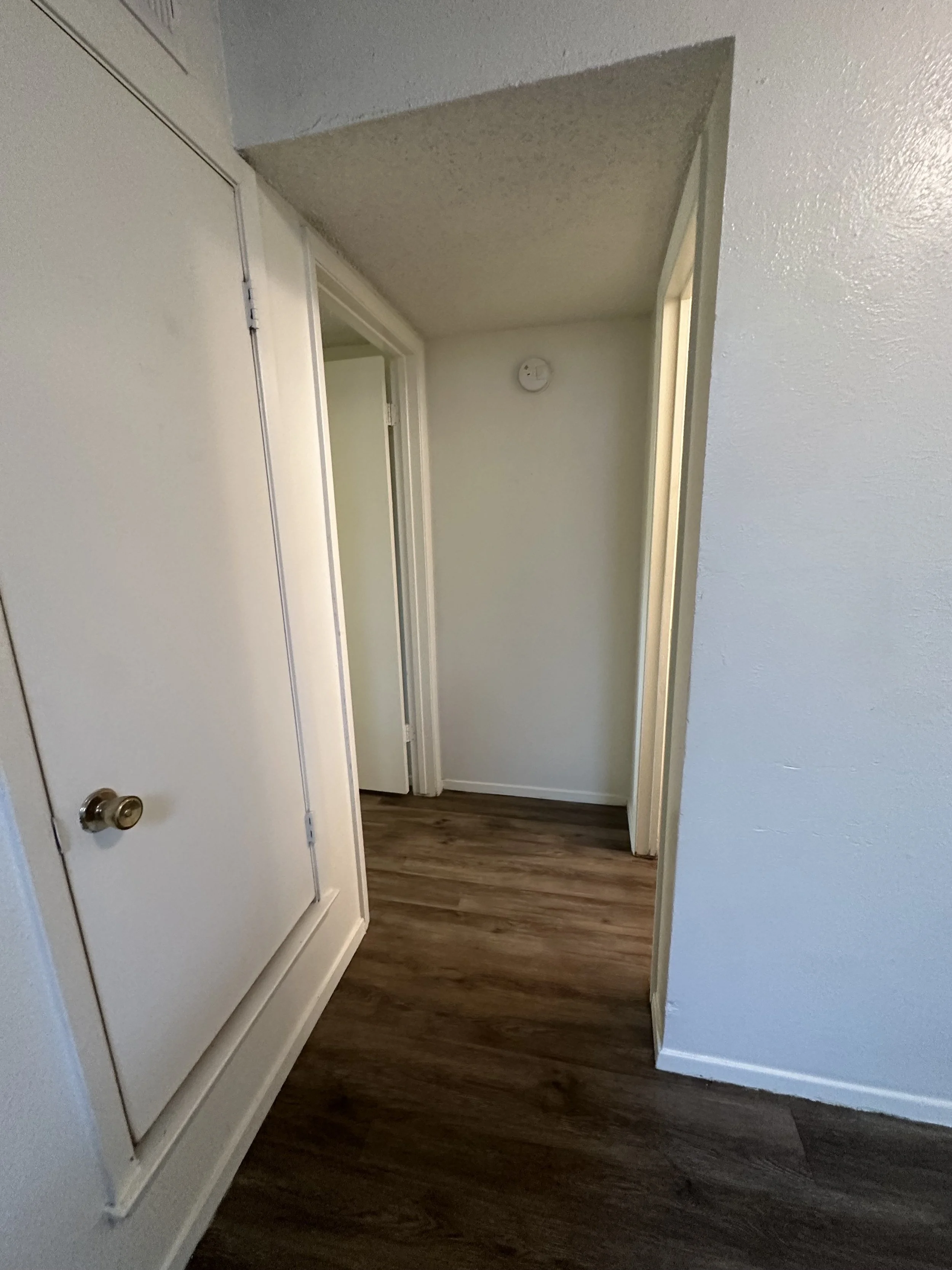 Photo Aug 06 2024, 3 59 22 PM.jpg