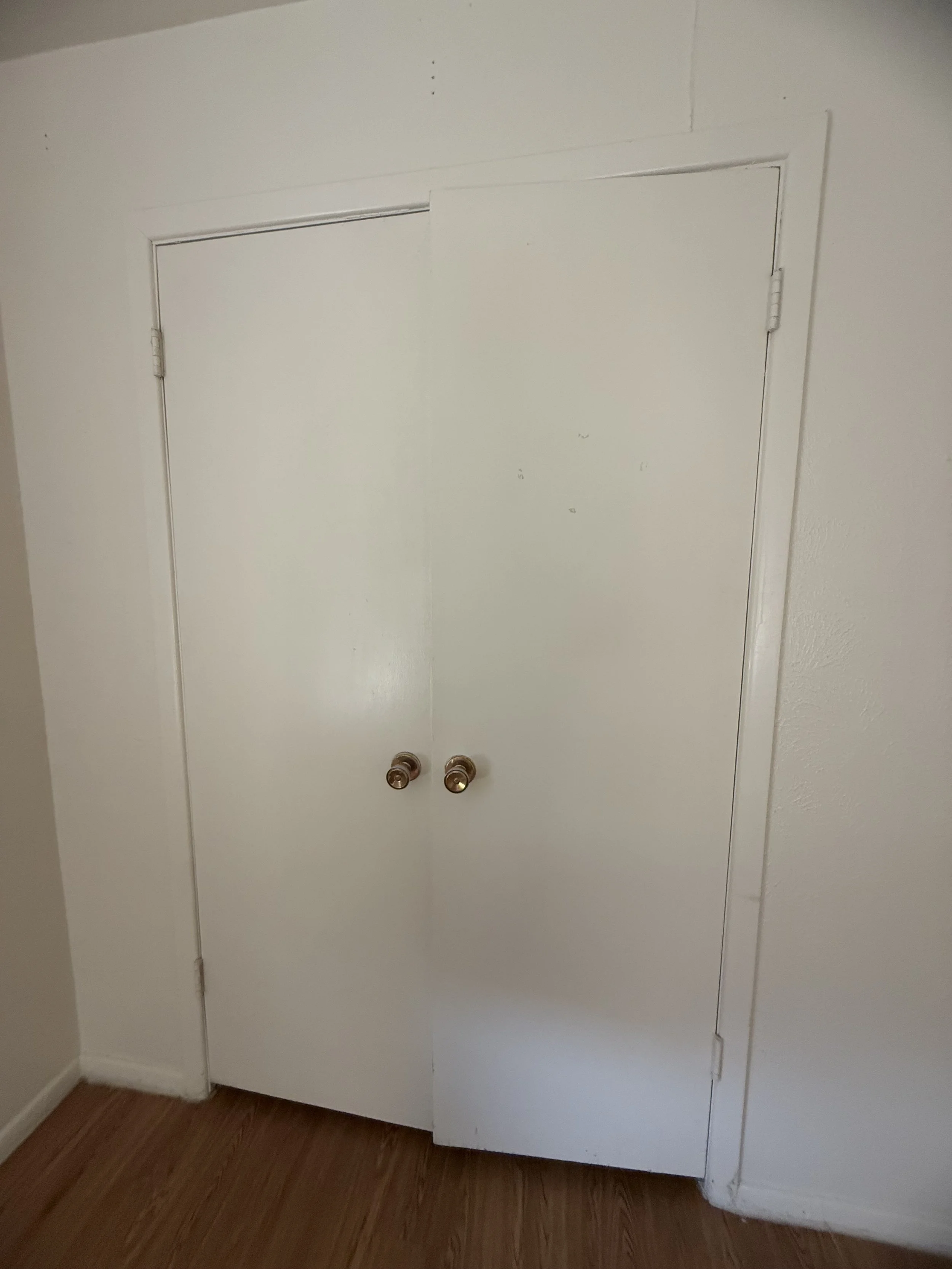 Photo Aug 08 2025, 11 52 14 AM.jpg