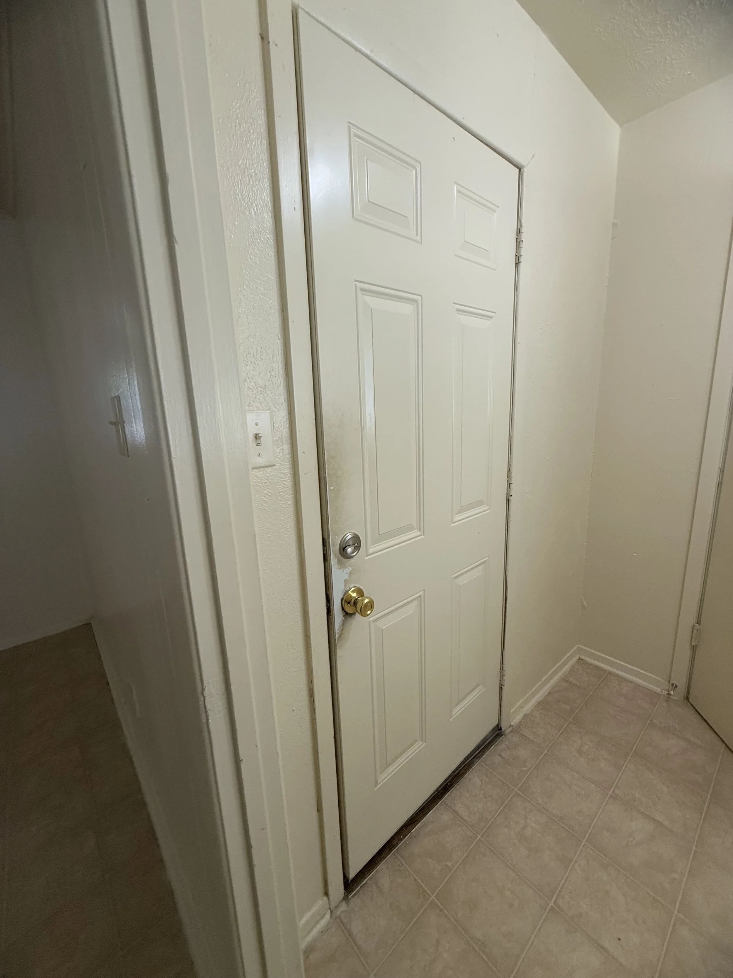 Photo Aug 08 2025, 11 55 53 AM.jpg