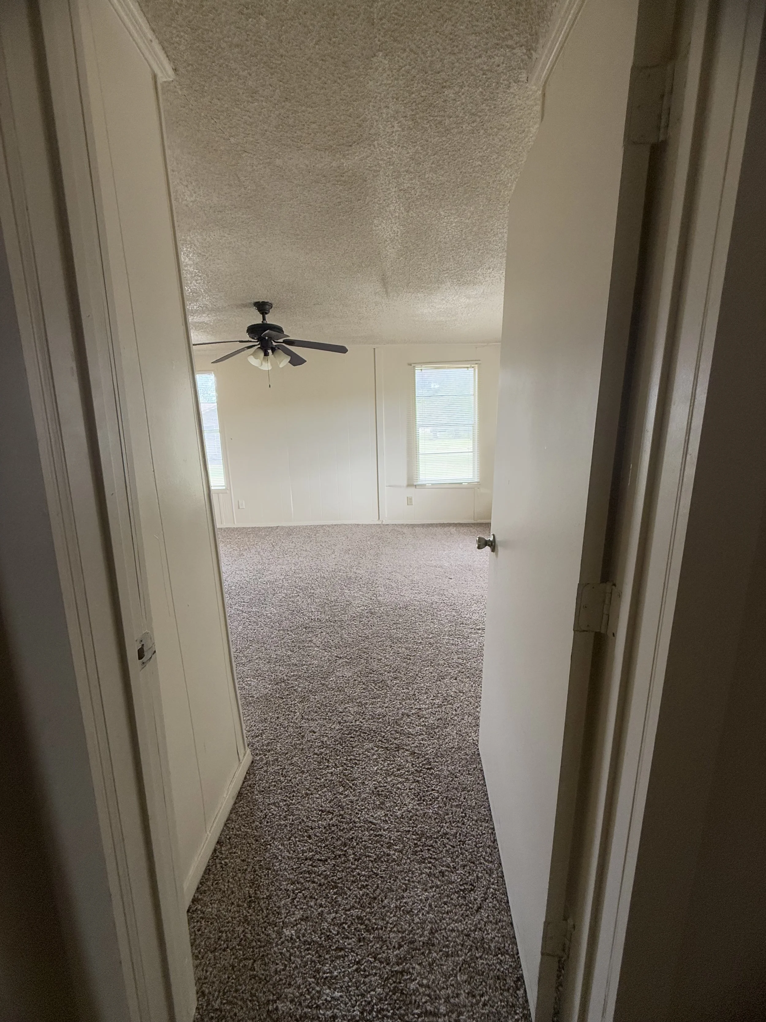 Photo Aug 01 2025, 11 31 55 AM.jpg