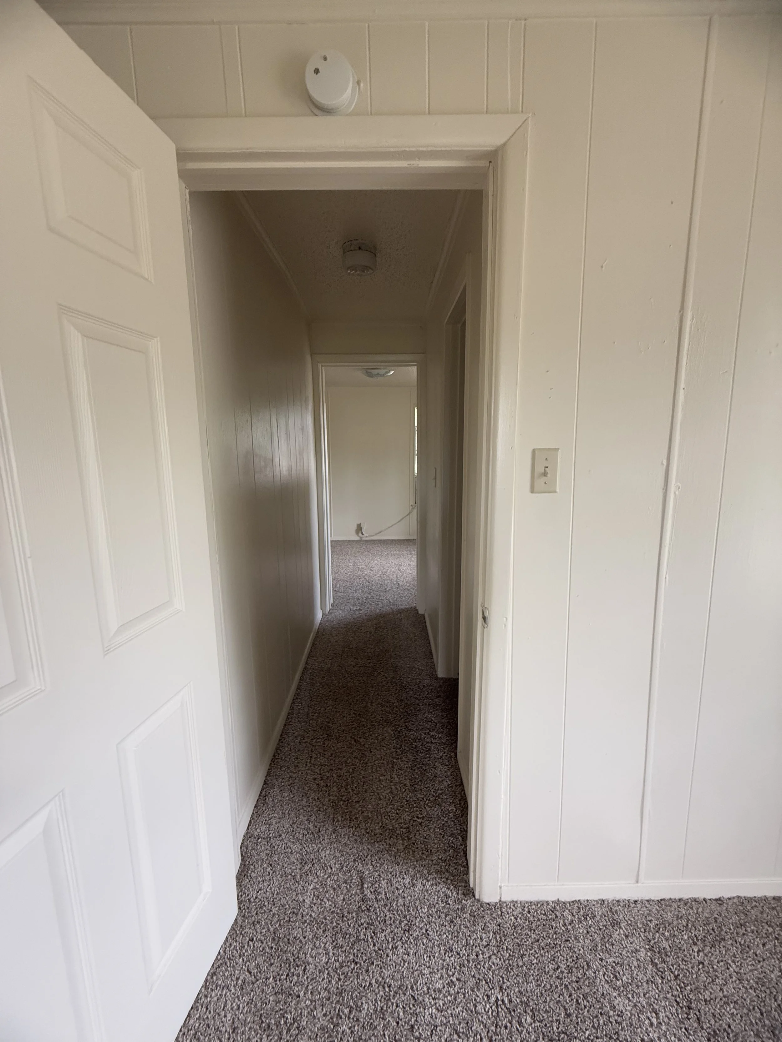 Photo Aug 01 2025, 11 32 54 AM.jpg