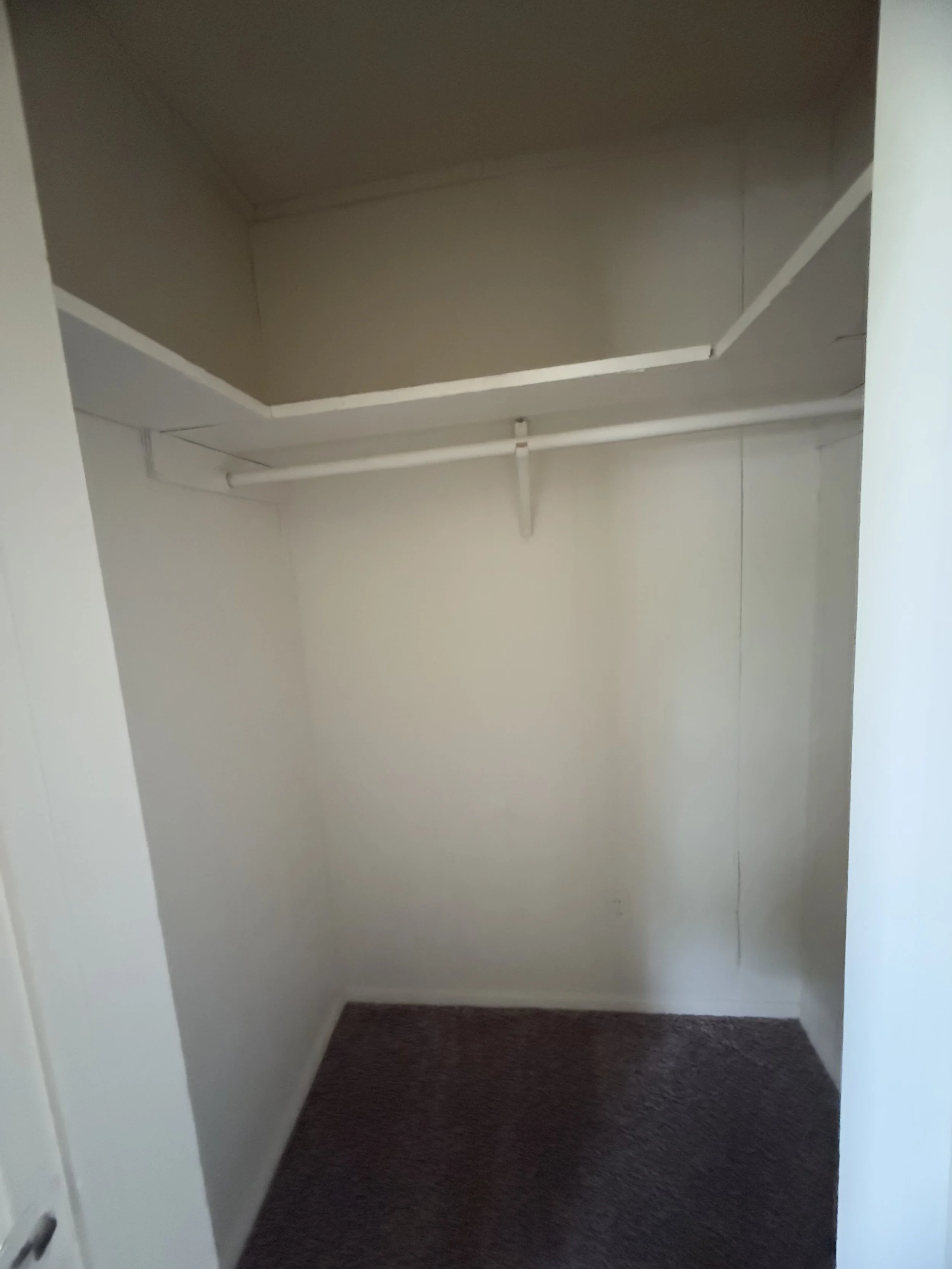 Photo Aug 01 2025, 11 34 12 AM.jpg