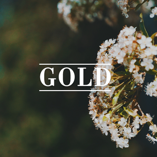 GOLD 1.png