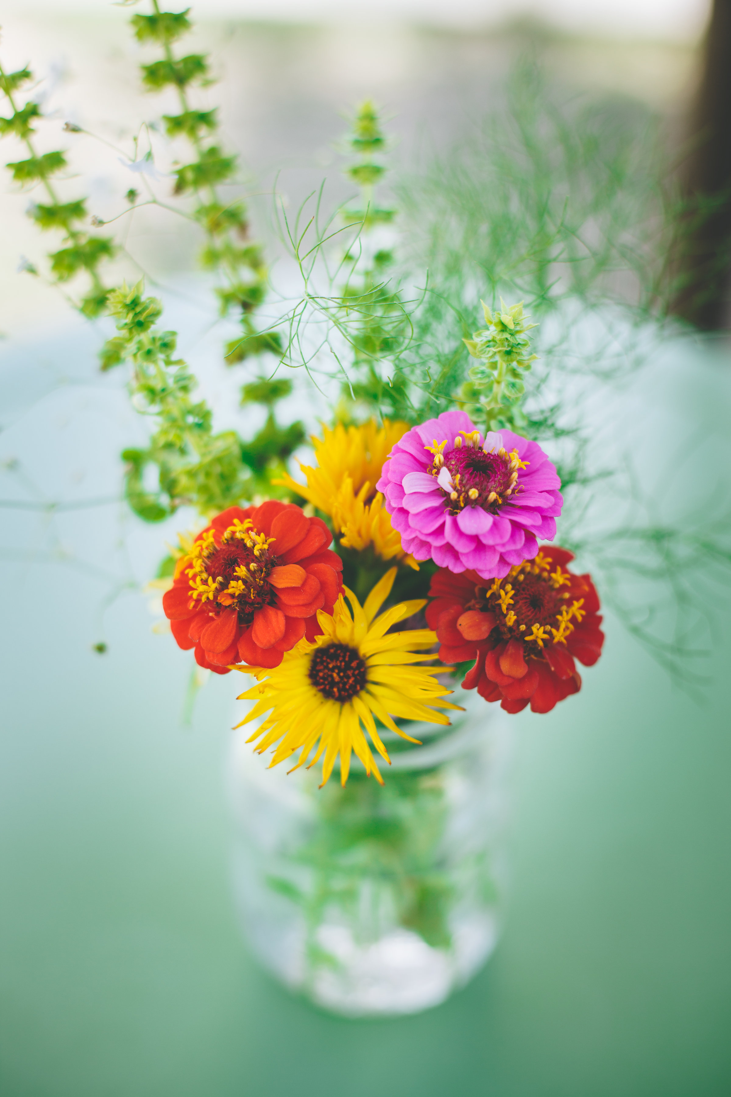 2017_05_02FloraFarms-ADayInTheLife-Pt2-40.jpg