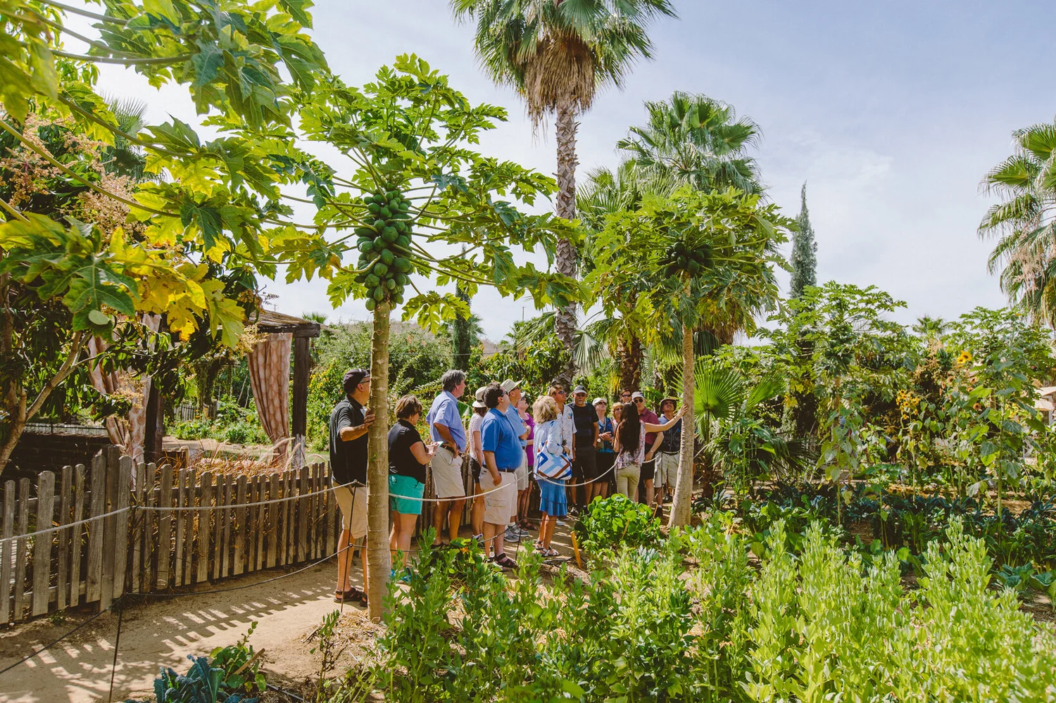 Flora Farms