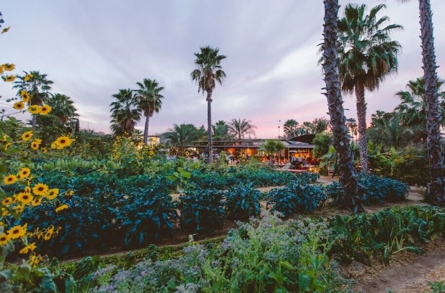 Celebrations — Flora Farms