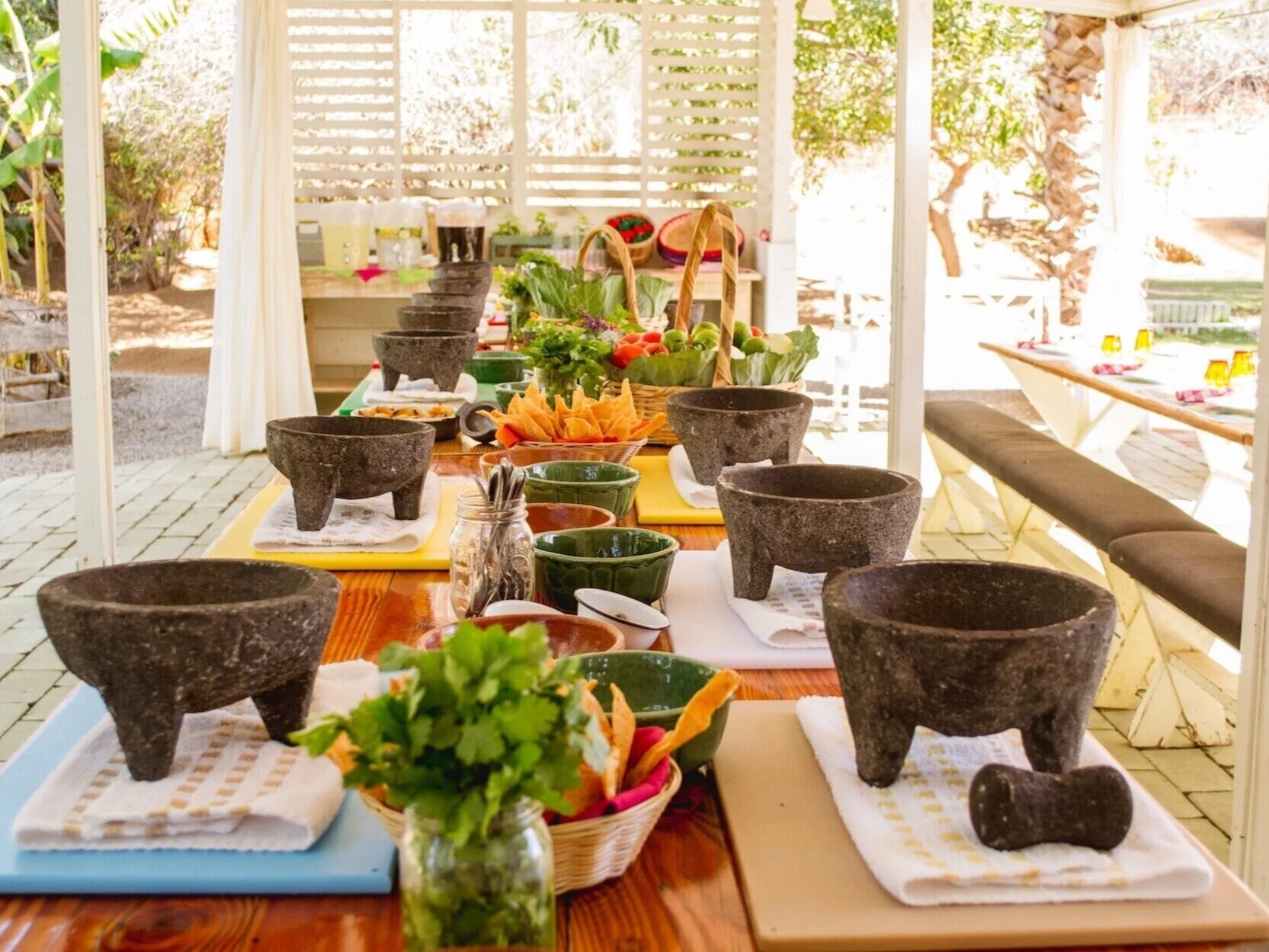 Experiences — Flora Farms