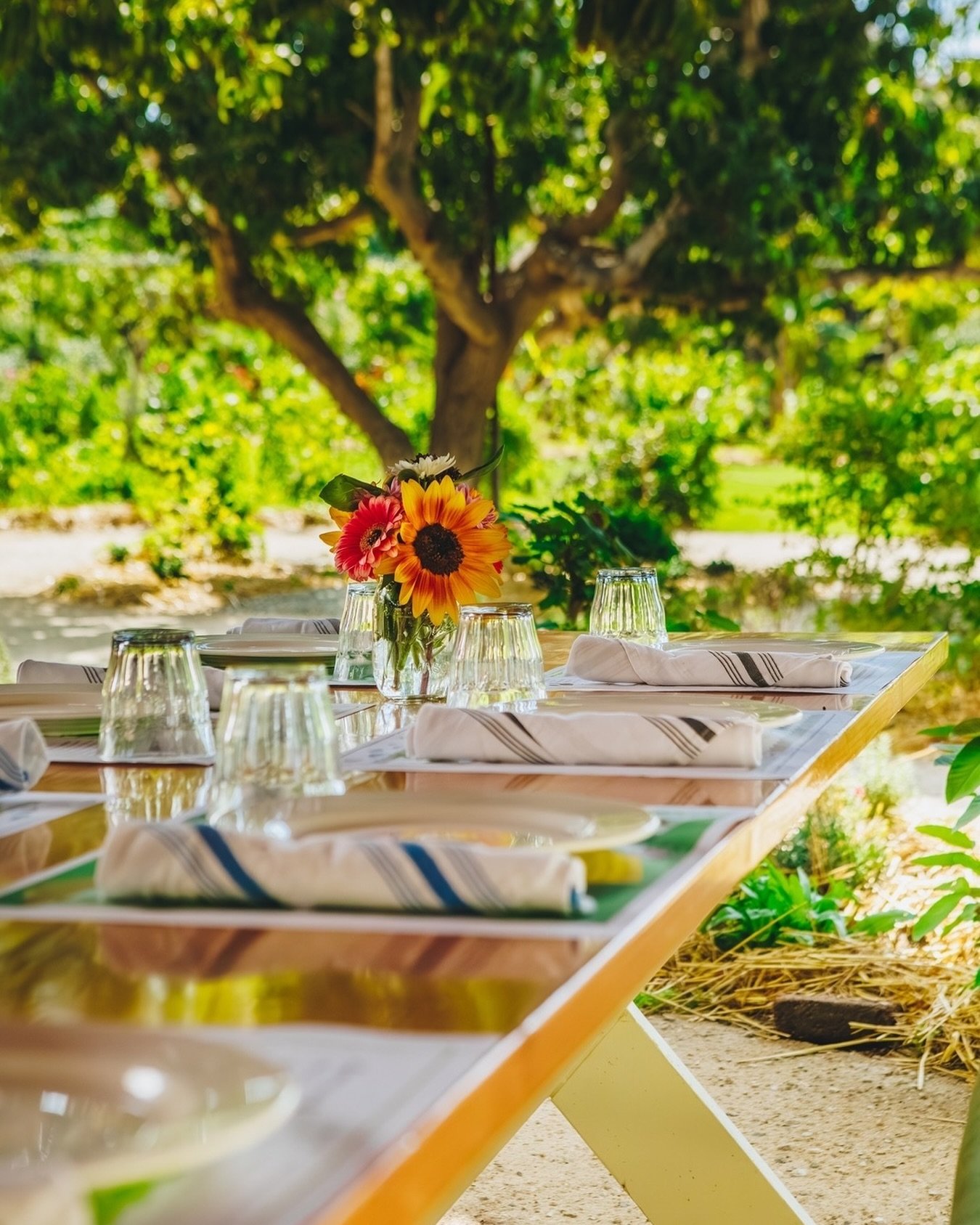 Enjoying lunch outdoors, surrounded by mango trees and flowers, following a fun cooking class on the farm? That&rsquo;s the vibe.