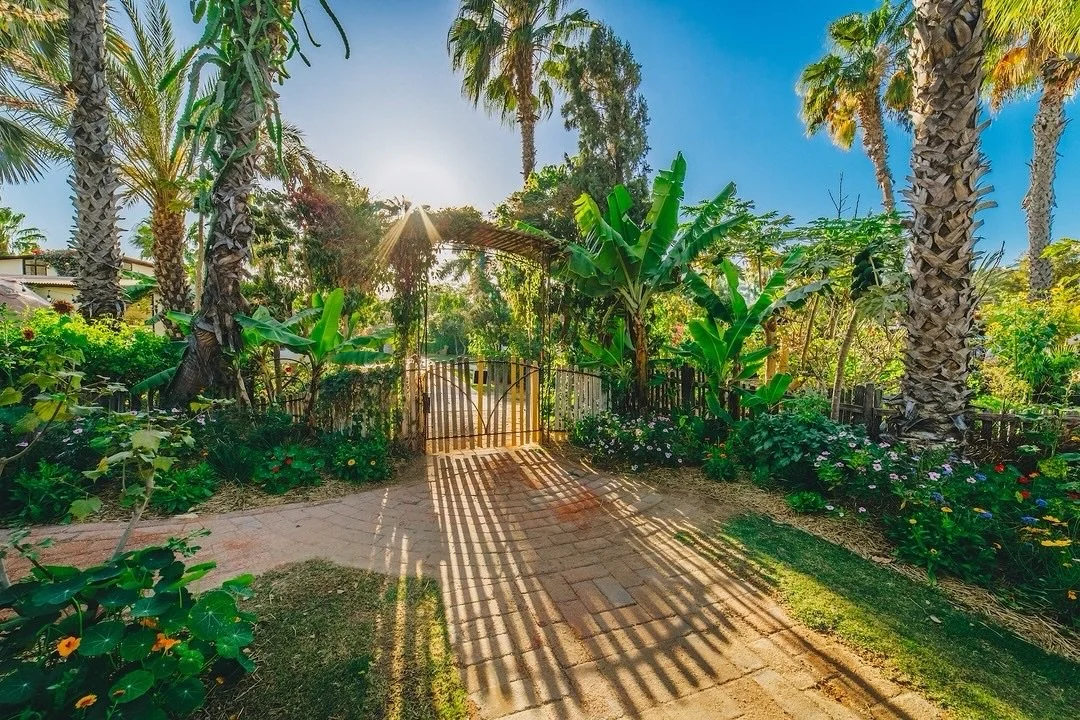 Blue skies and a happy field after the rain ☀️🌻