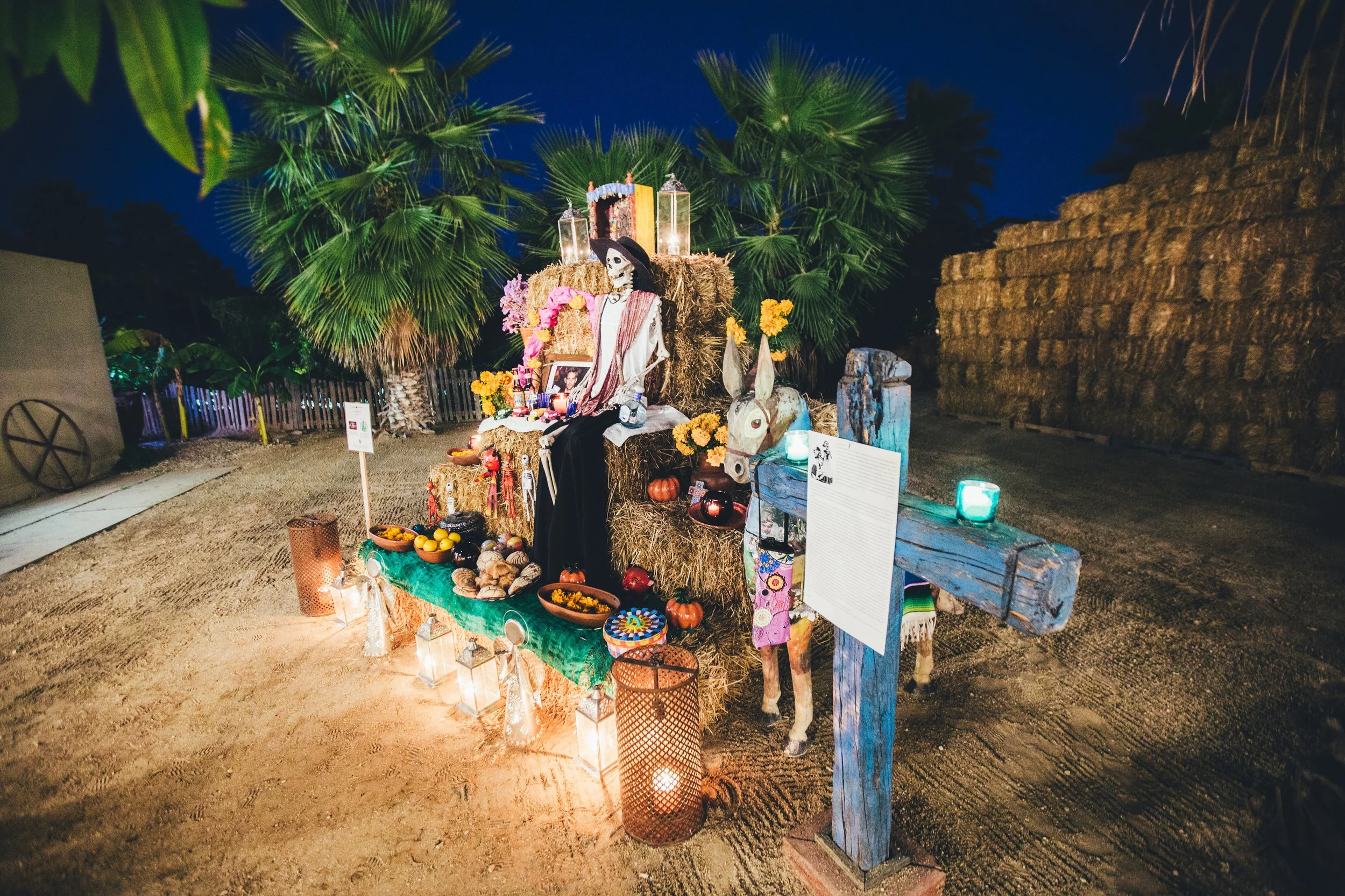 20151030DiadeMuertosFloraFarms0144.jpg