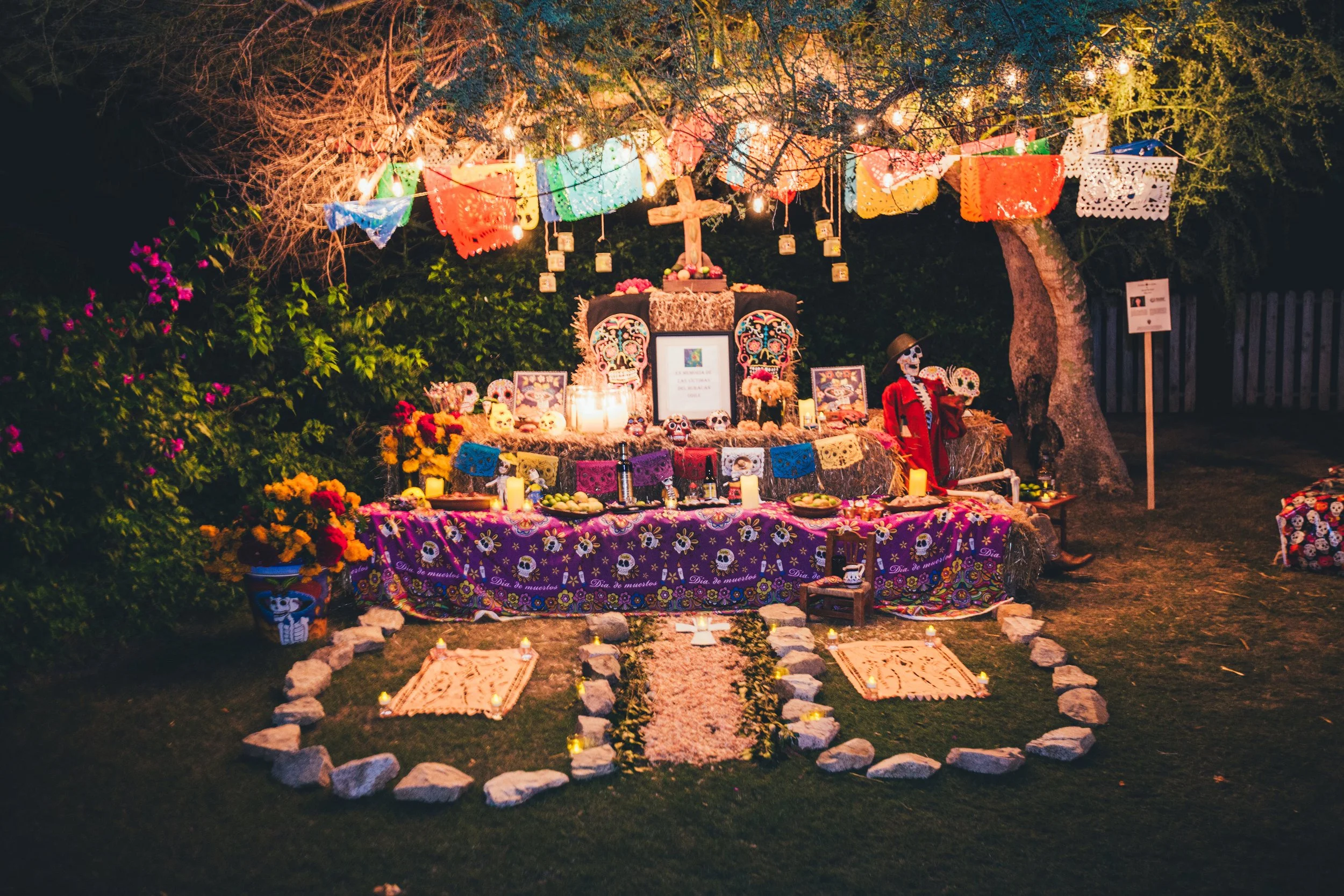 20151030DiadeMuertosFloraFarms0151.jpg