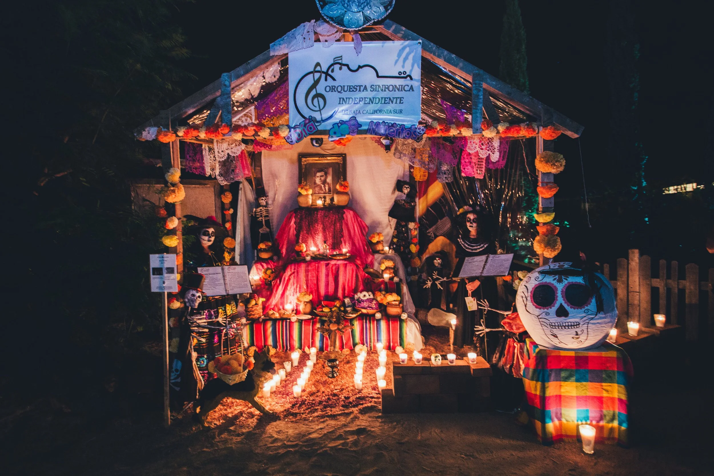 20151030DiadeMuertosFloraFarms0177.jpg
