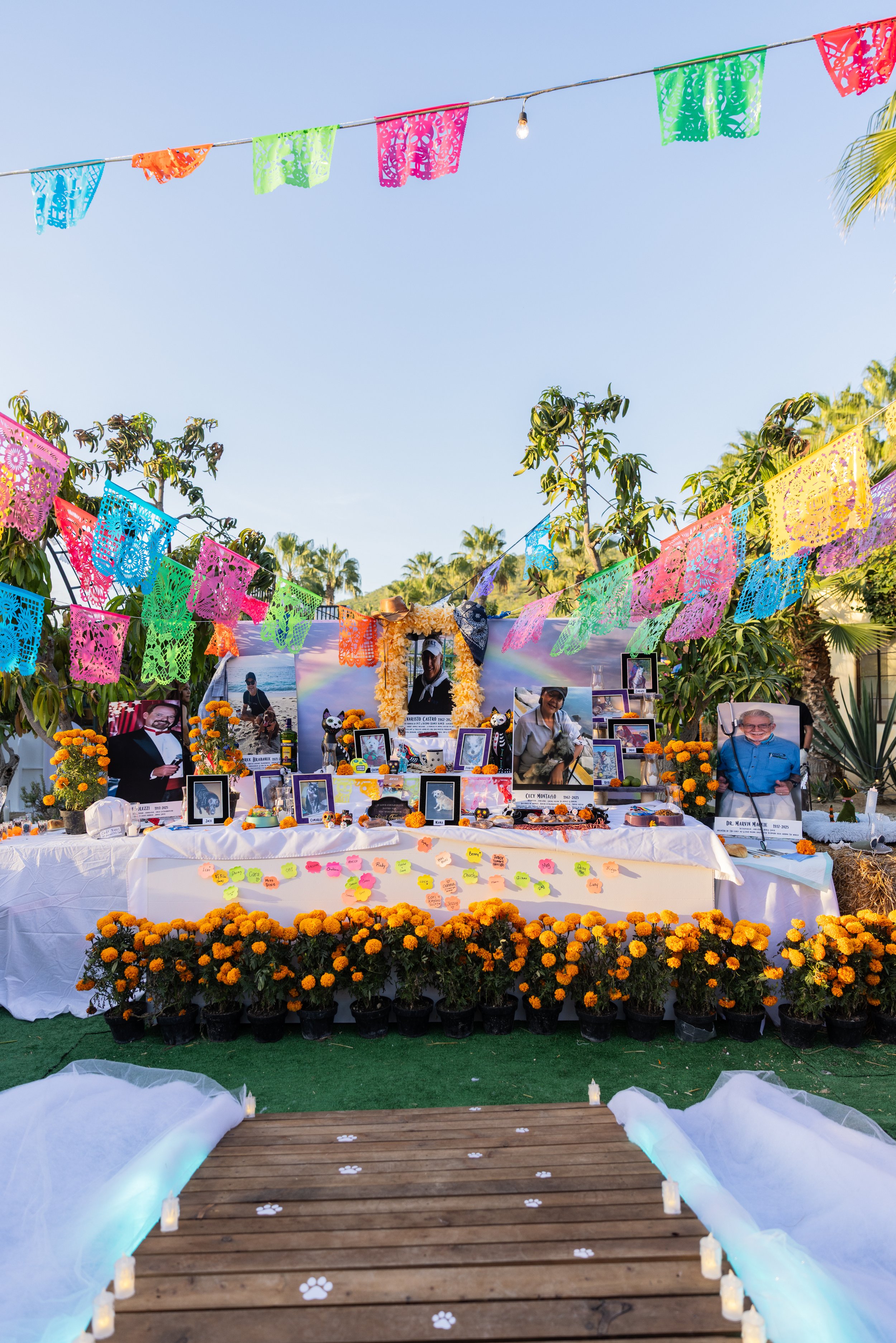 FLORA FARMS DIA DE MUERTOS FOTOS OK-3.JPG