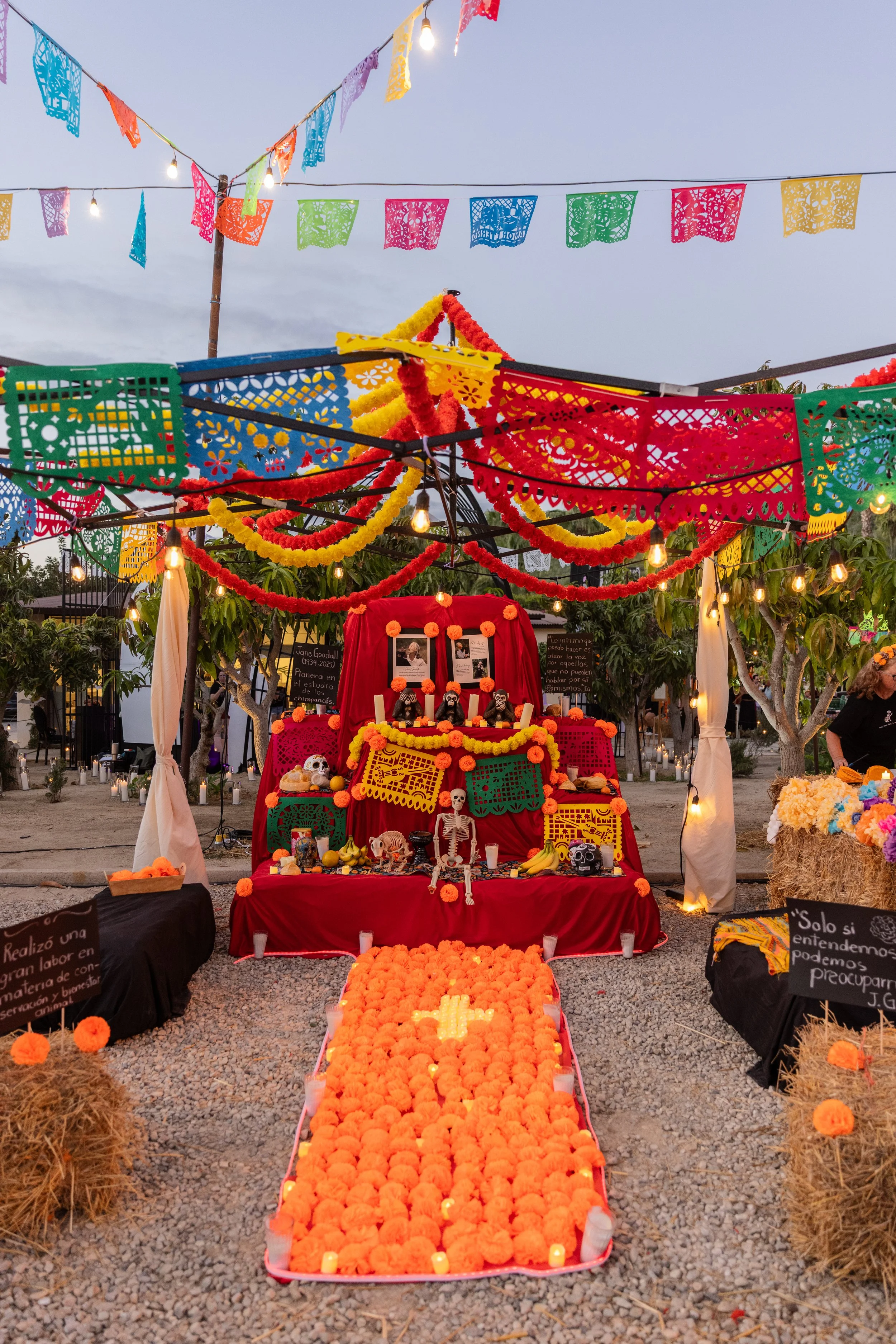 FLORA FARMS DIA DE MUERTOS FOTOS OK-14.JPG