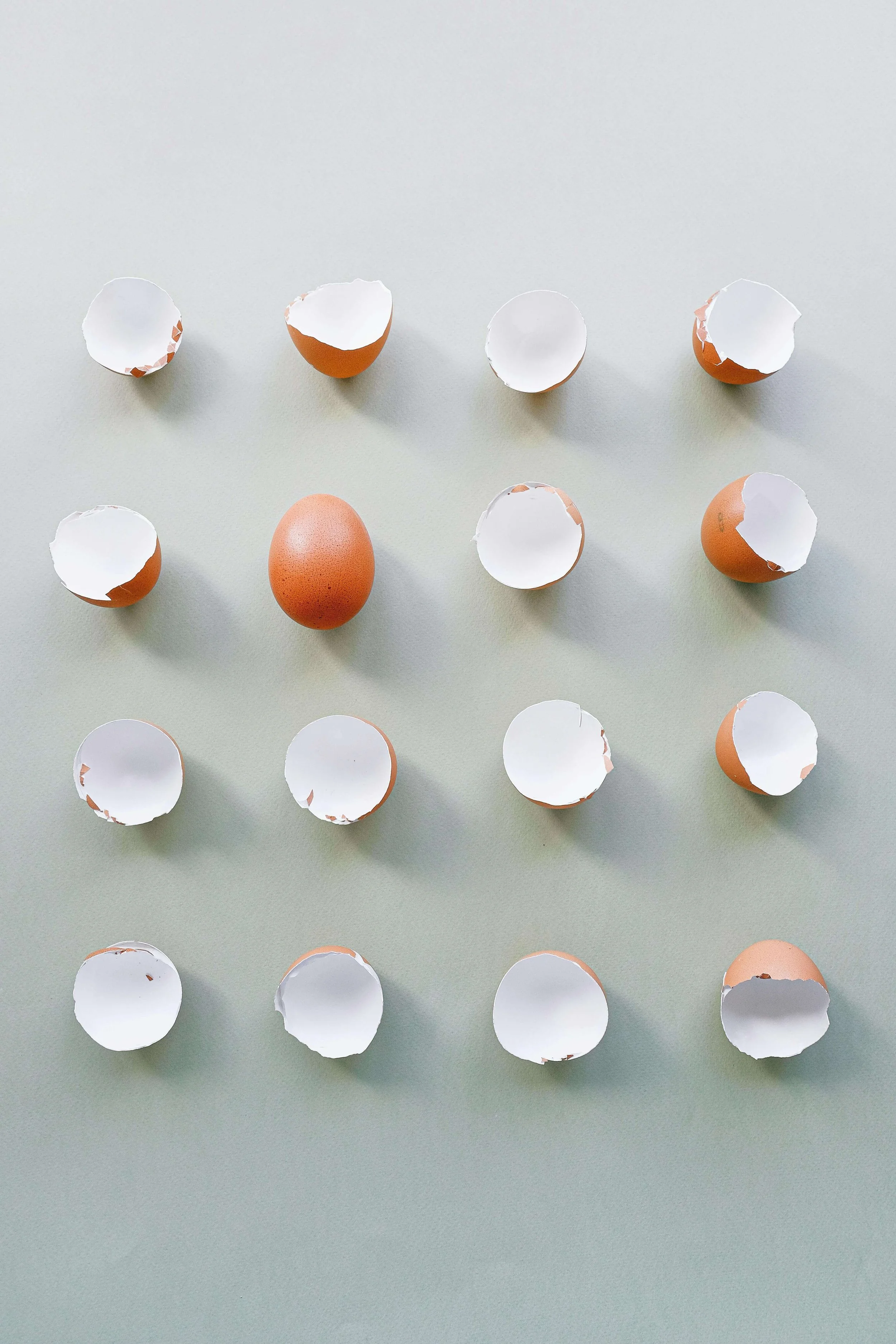Eggs | Grief Counseling Seattle | 98107