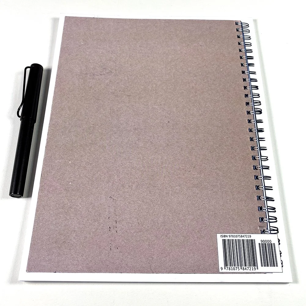 LIVE DRAWING IN WINTER 6.JPEG