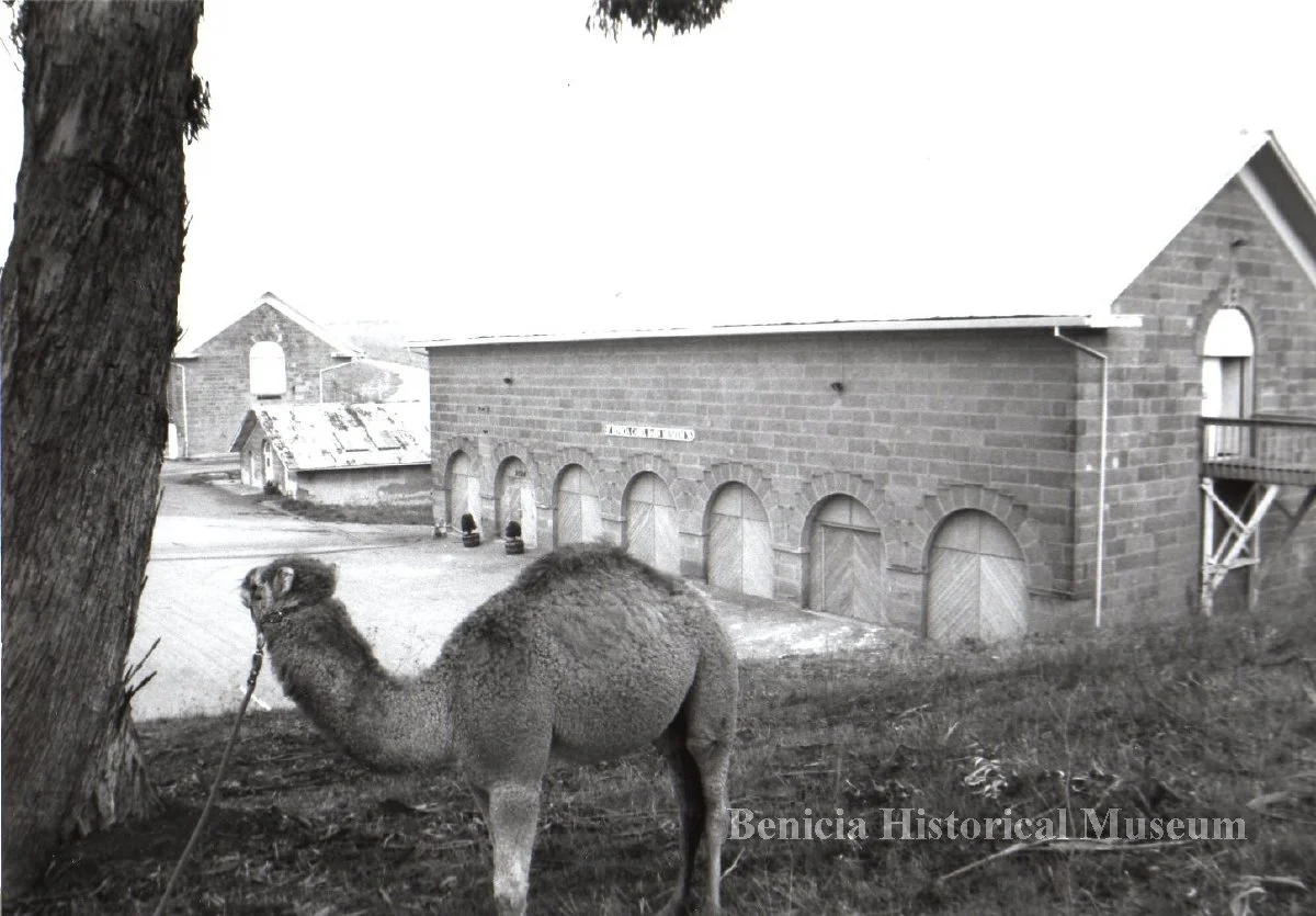 CamelBarnMuseum.jpg