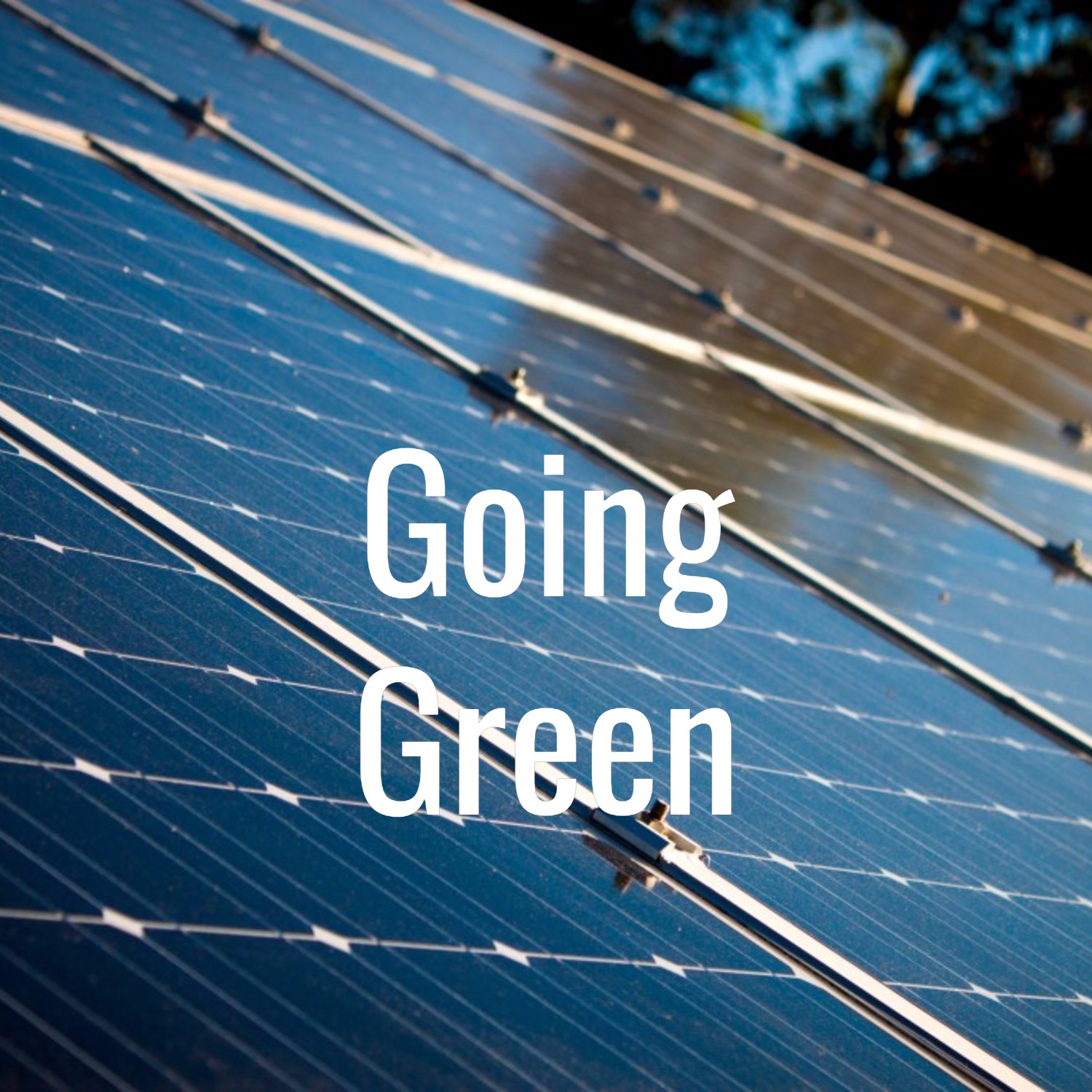 Benicia Toolbox Going Green.jpg