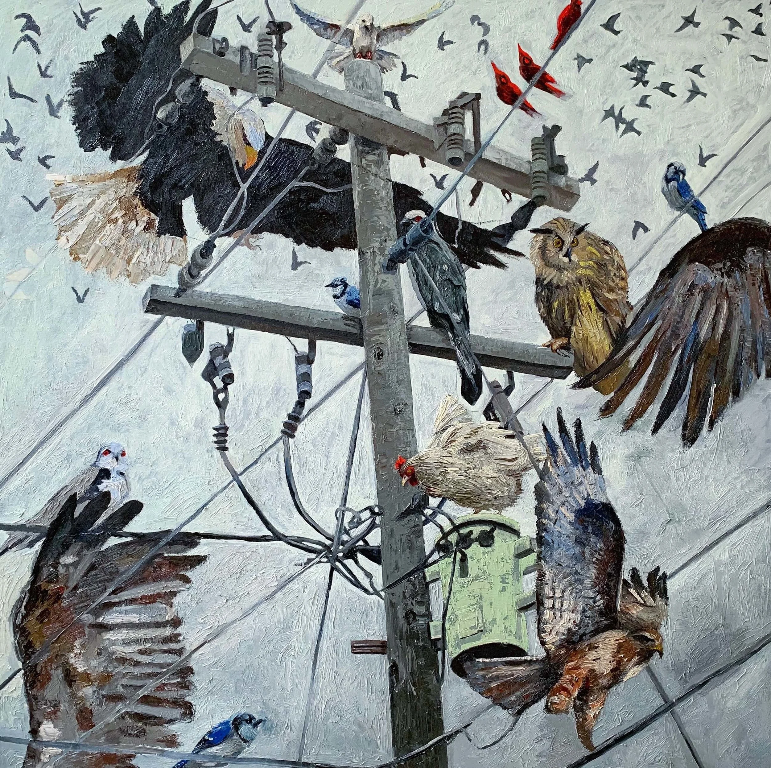 Flappable,  48 x 48,  oil on canvas  2019