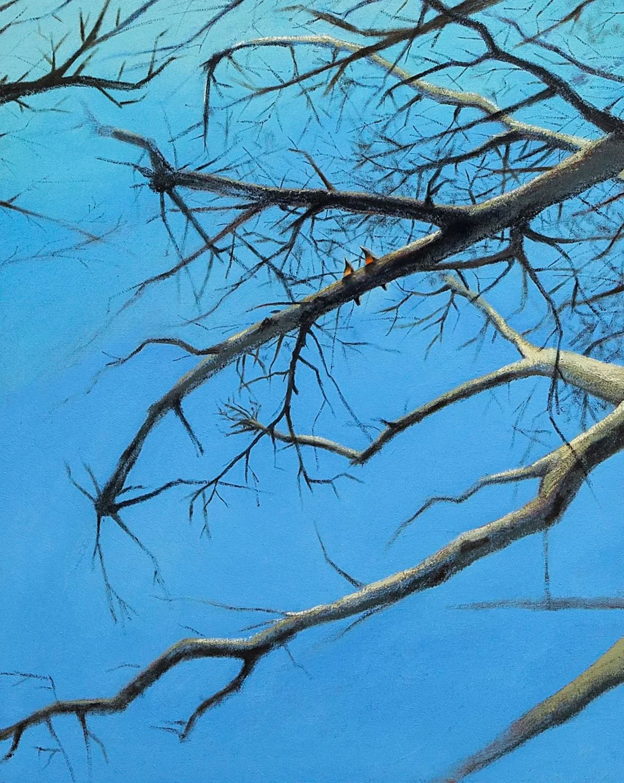 LWES041_Two Robins, 2023_Lauren West_67.jpg