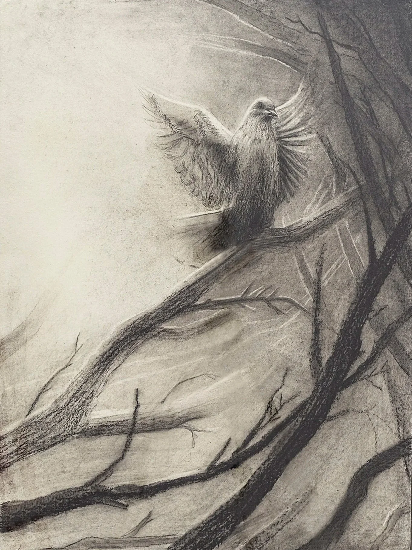 LWES050_Up There, 2023_Lauren West_102.jpg