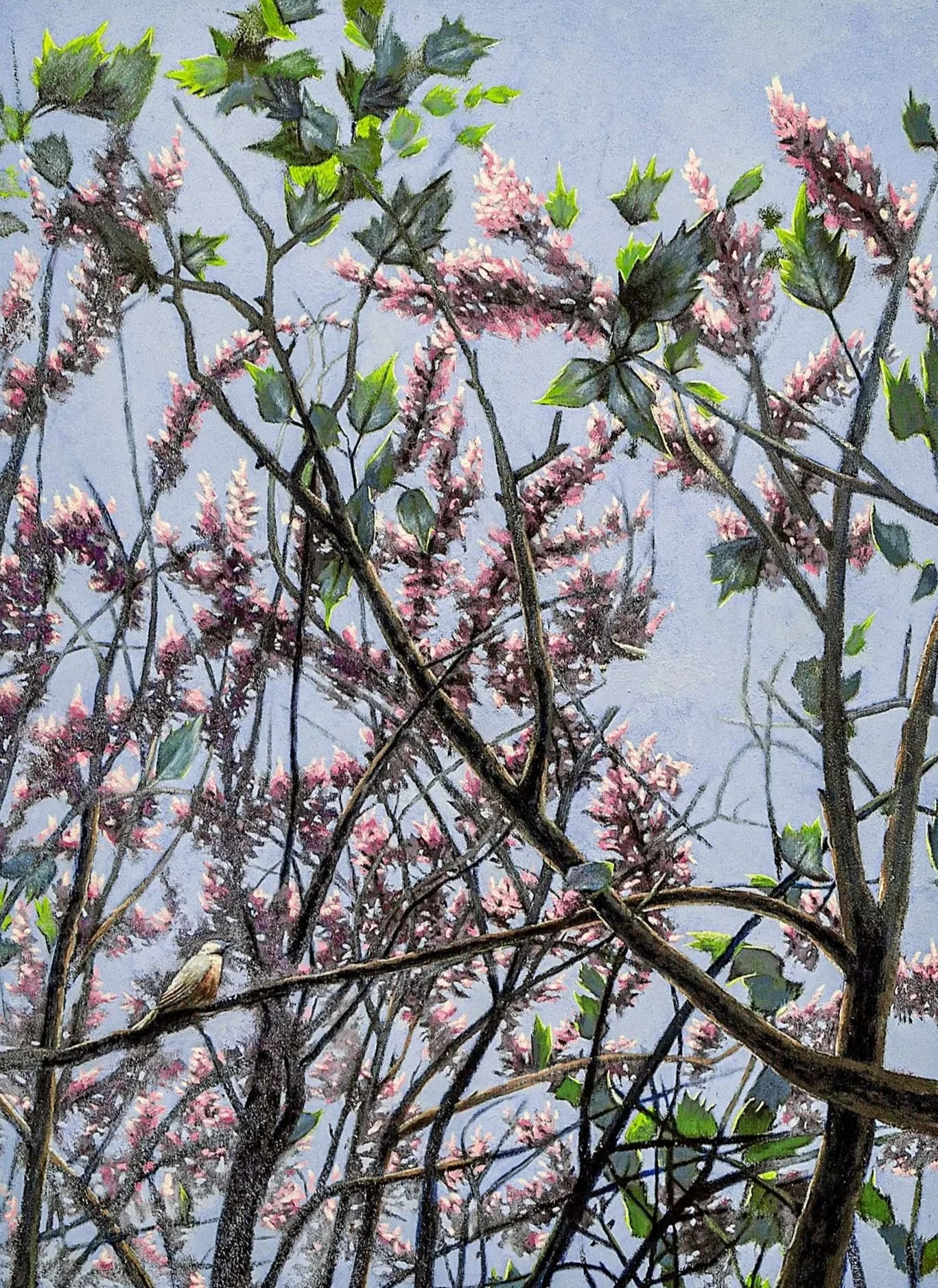 LWES054_Here & There, 2023_Lauren West_82WEB.jpg