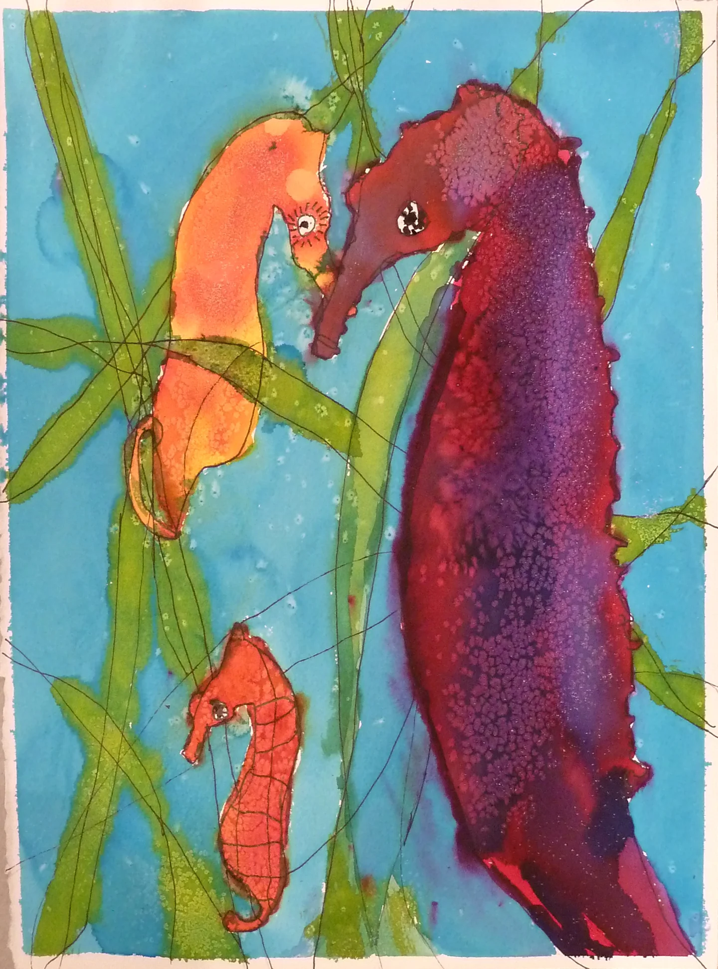 Seahorses