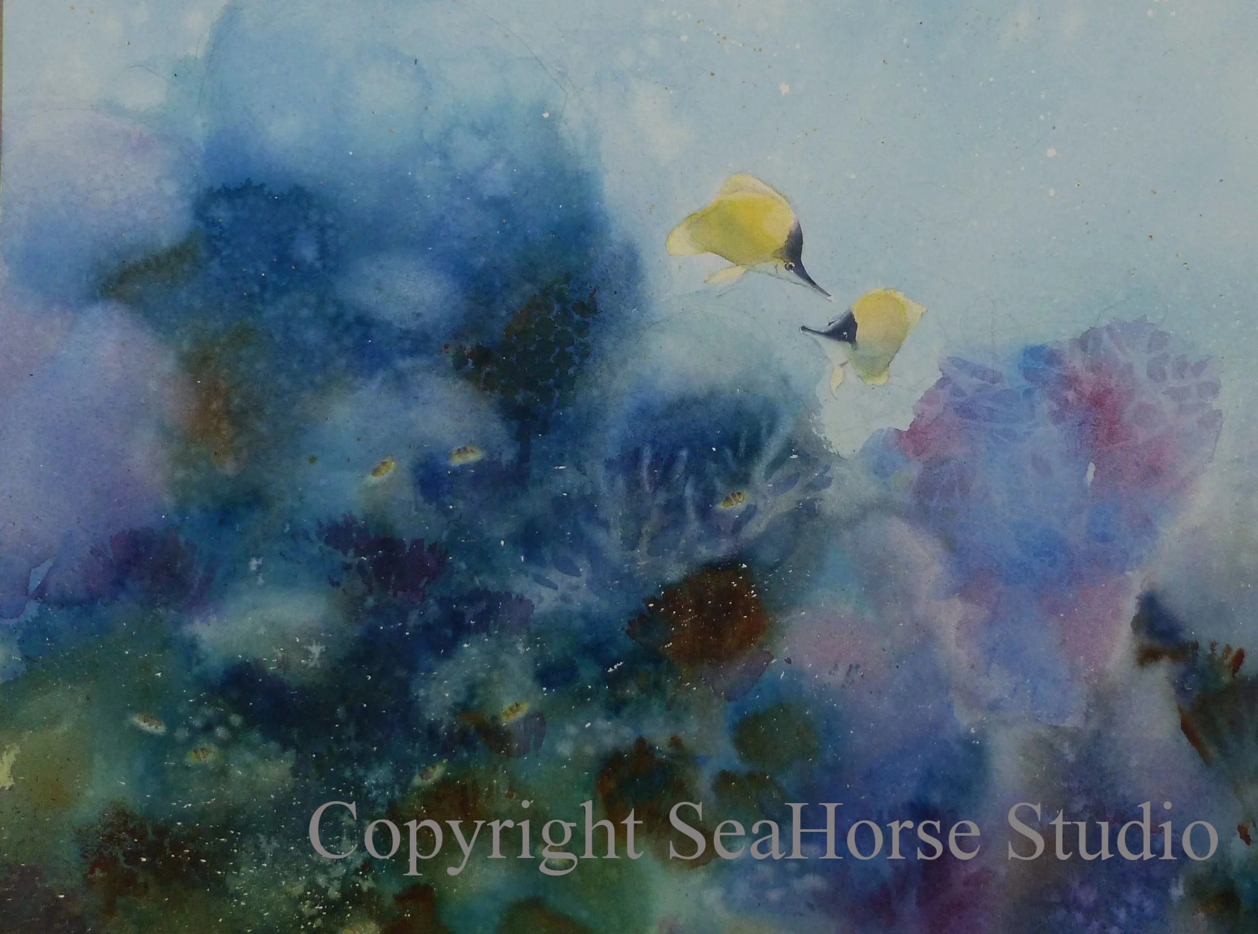 Longnose Butterfly Reef