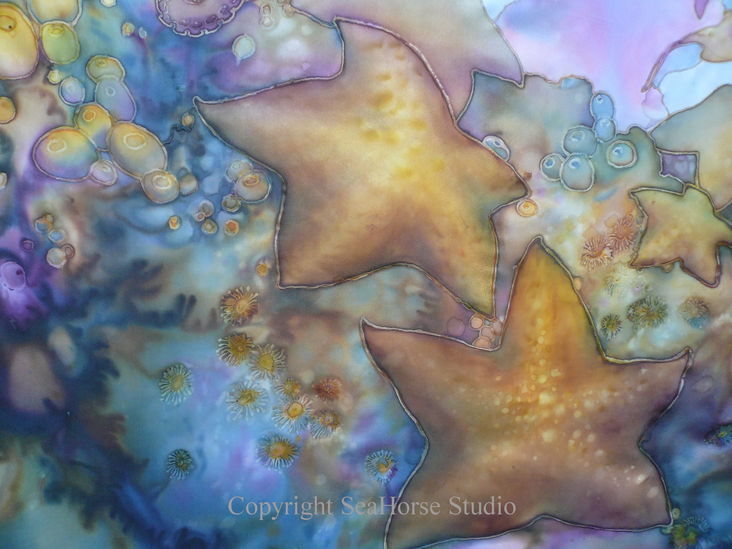 Seastars in Kelp Forest Triptich