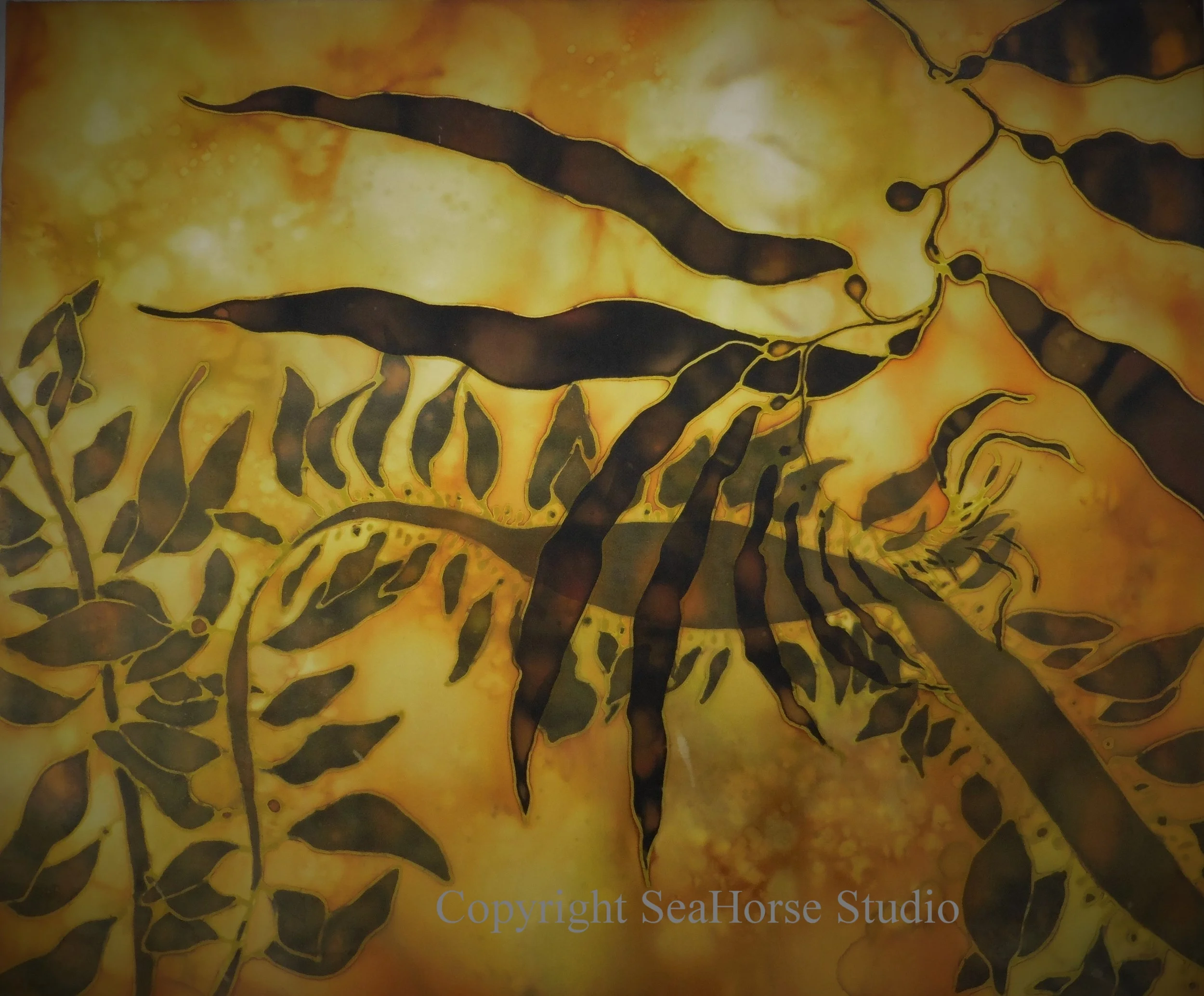 Kelp Forest 1
