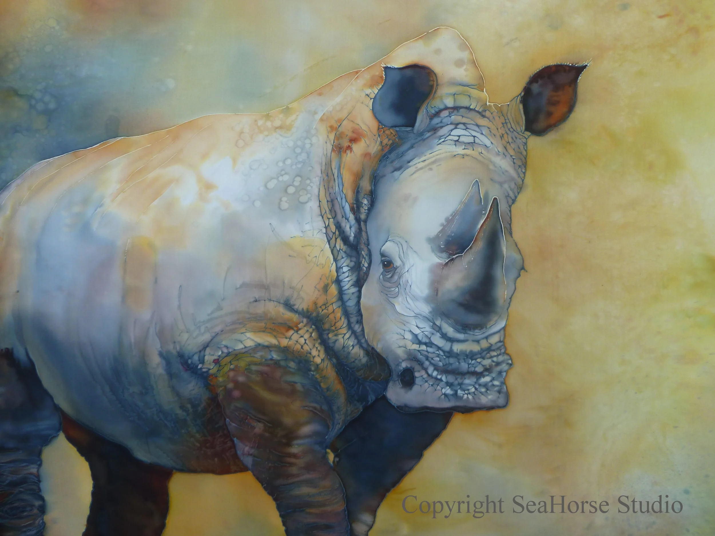 White Rhinocerous