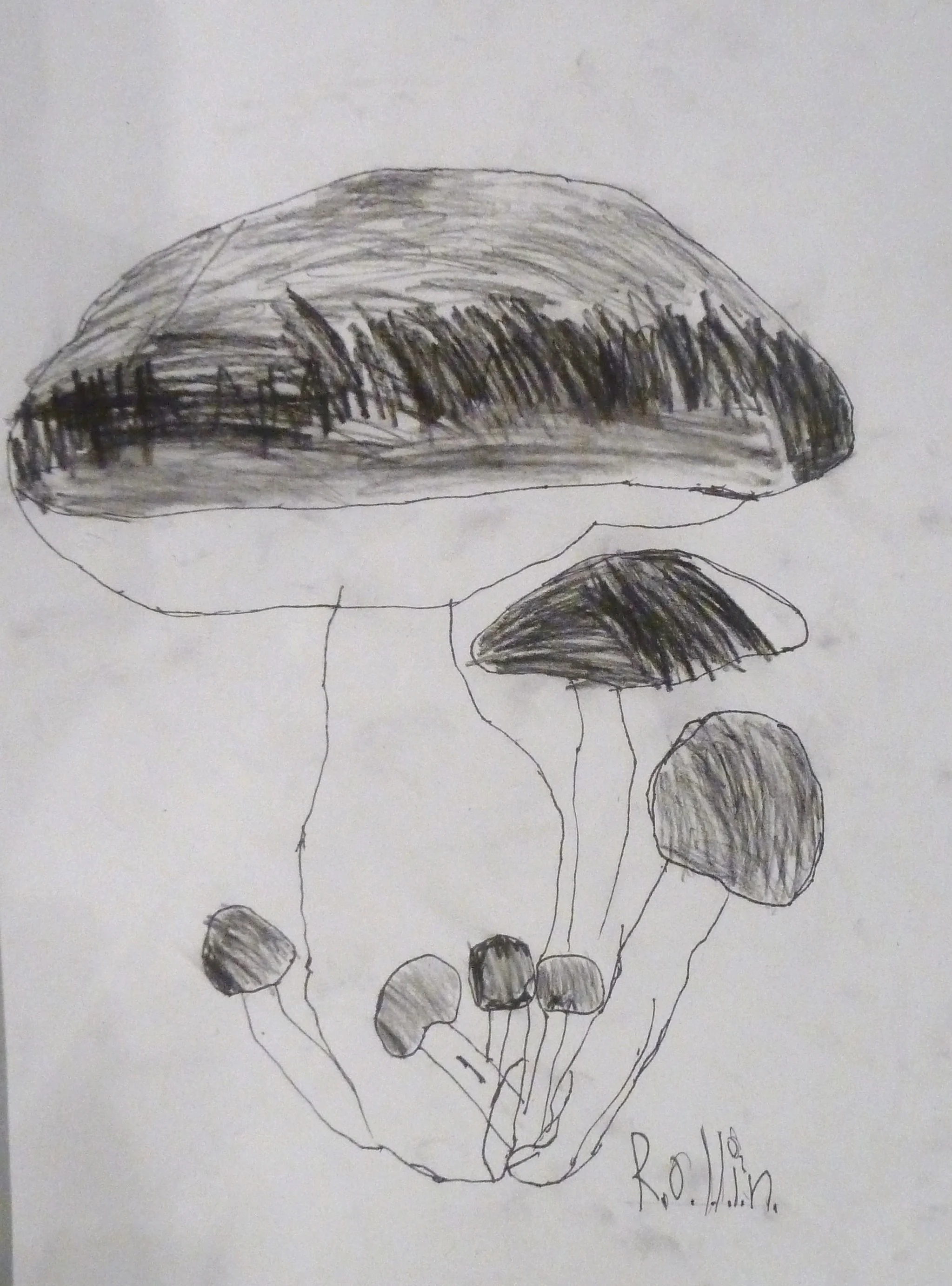 Light and Shadow study 