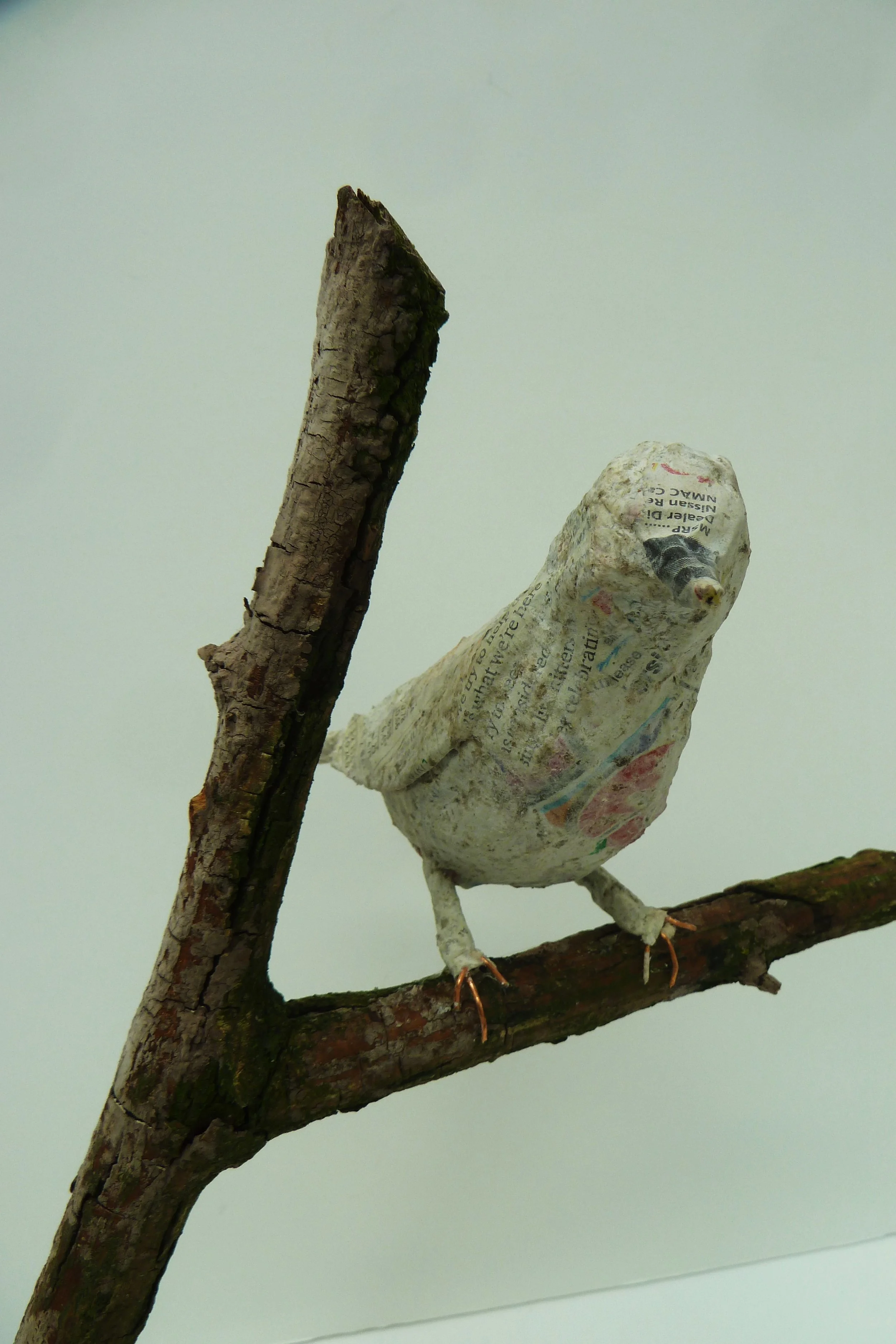 Paper Mache Bird