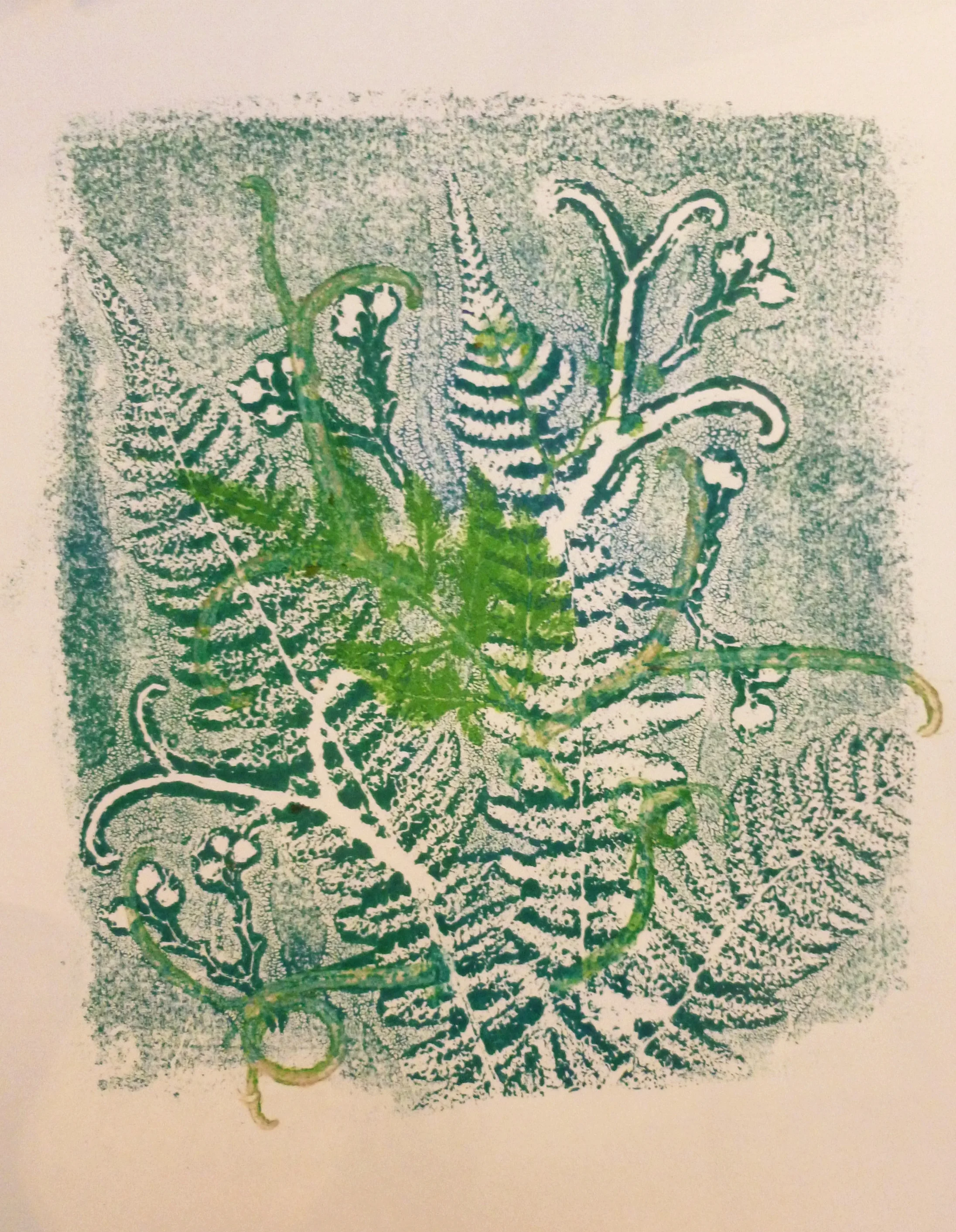 Botanical Pressings Positive and Negative