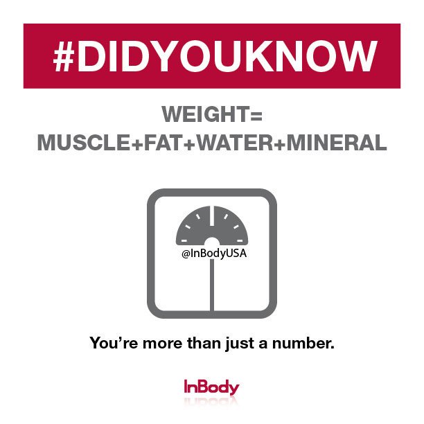 InBody Body Composition Machine for Medical Weight Loss