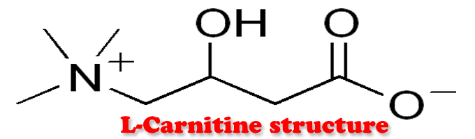 l Carnitine Deficiency and Testosterone Therapy