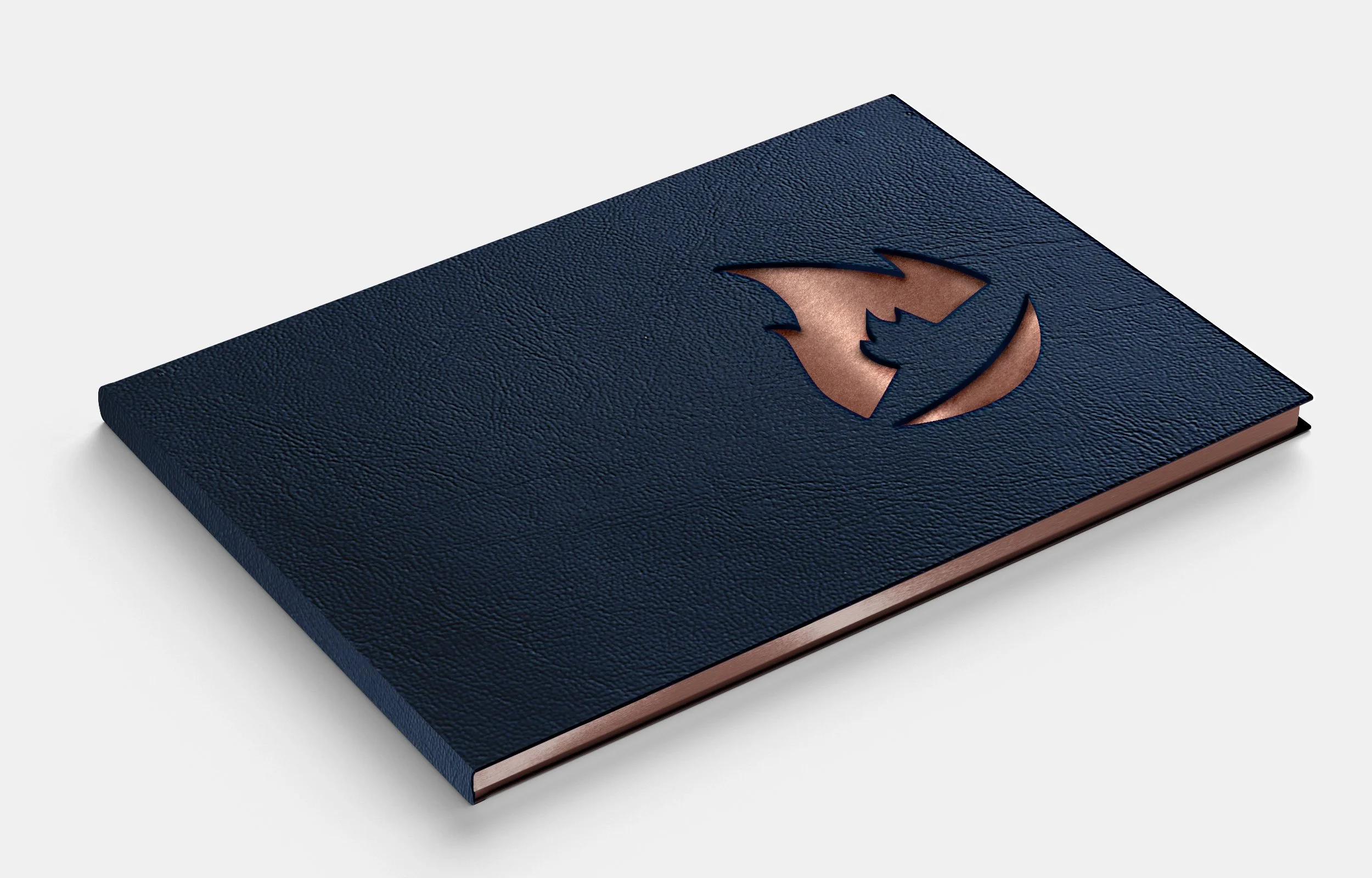 saturation fix cover.jpg