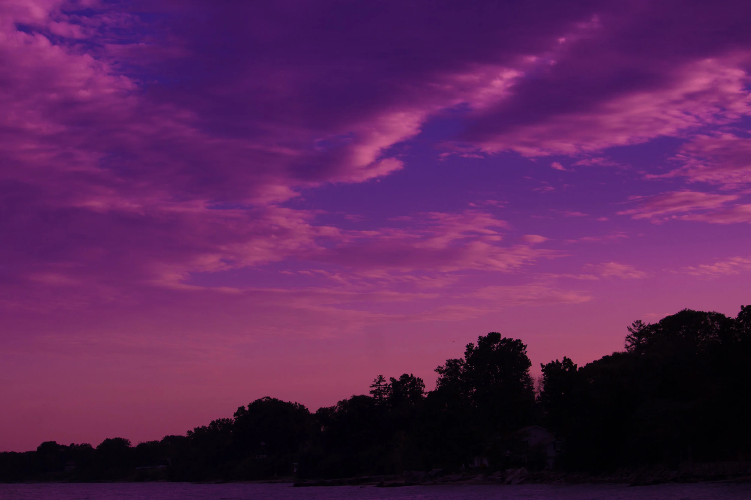 Skyline-1.jpg